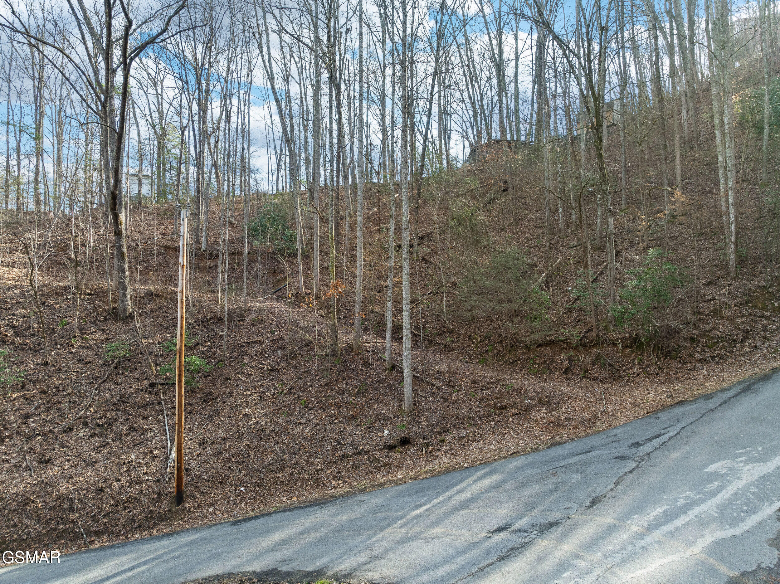 1006 Ridgefield Drive Drive