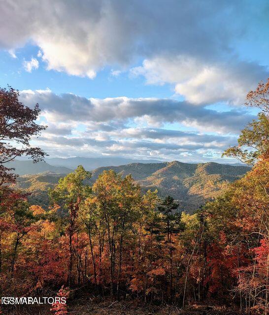 3382 Flintlock Lane Lane