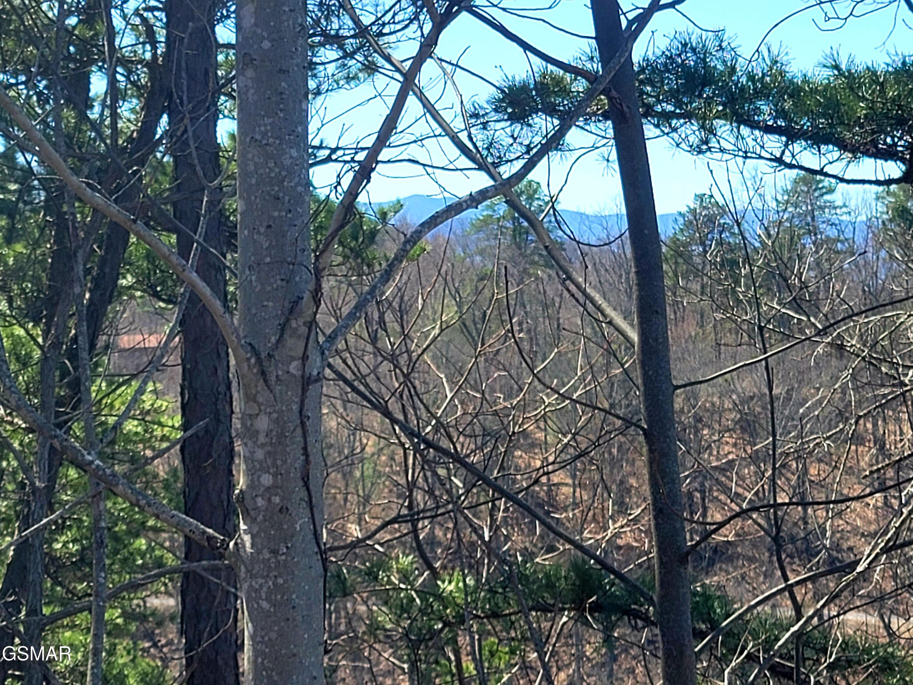 3328 Sugar Maple Loop Road