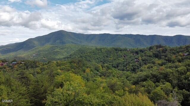 - Round Top Way