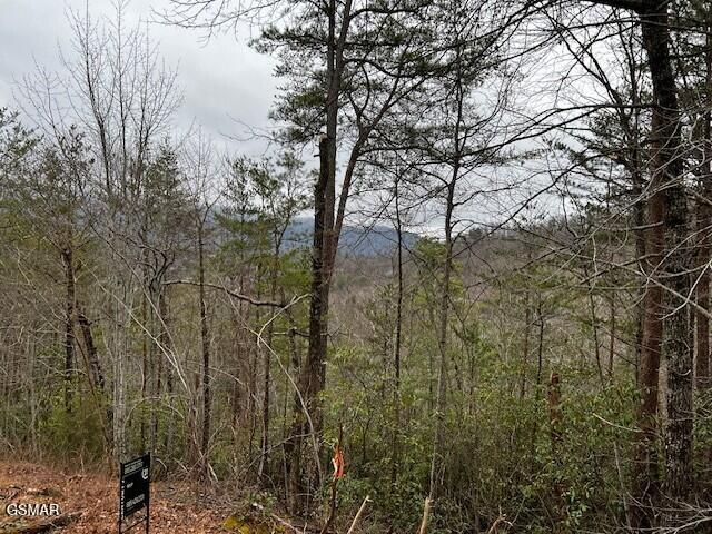 - Round Top Way