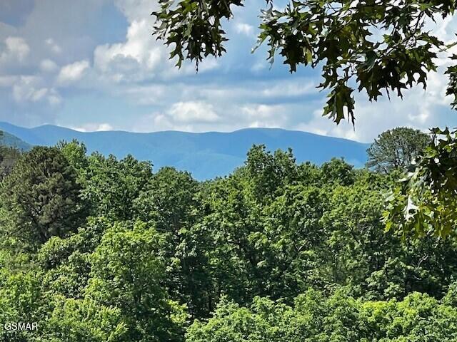 430 Sugar Maple Loop