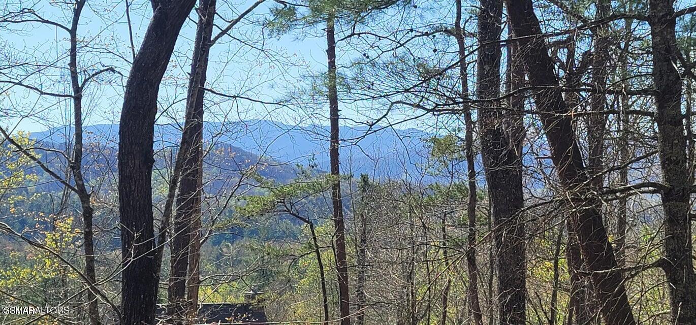- Chinquapin Drive