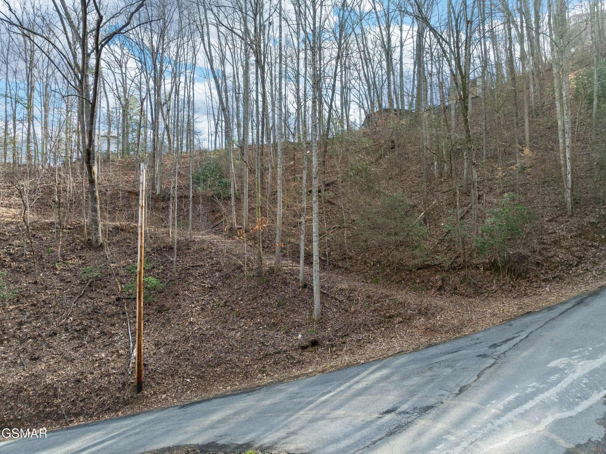 1006 Ridgefield Drive