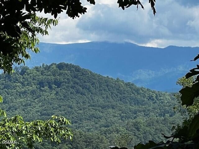 Forest-covered mountain ridges beneath a partly cloudy sky, framed by leafy branches.