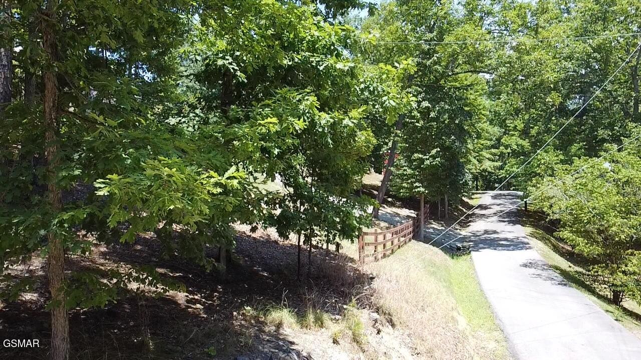 Wooded vacant property with a paved driveway, wooden fence, and grassy slope.