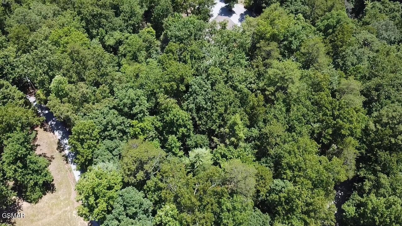 Aerial view of a wooded property with a narrow access drive and clearing.