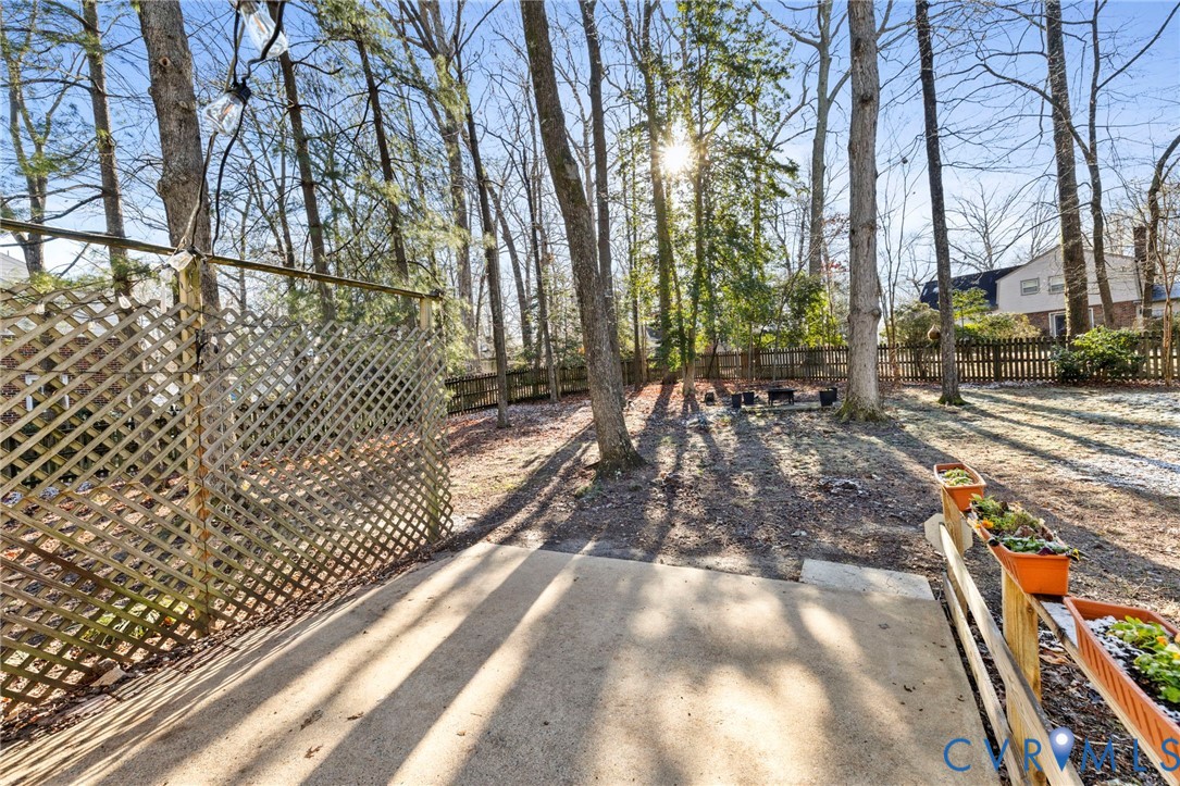 12041 Corianna Ln