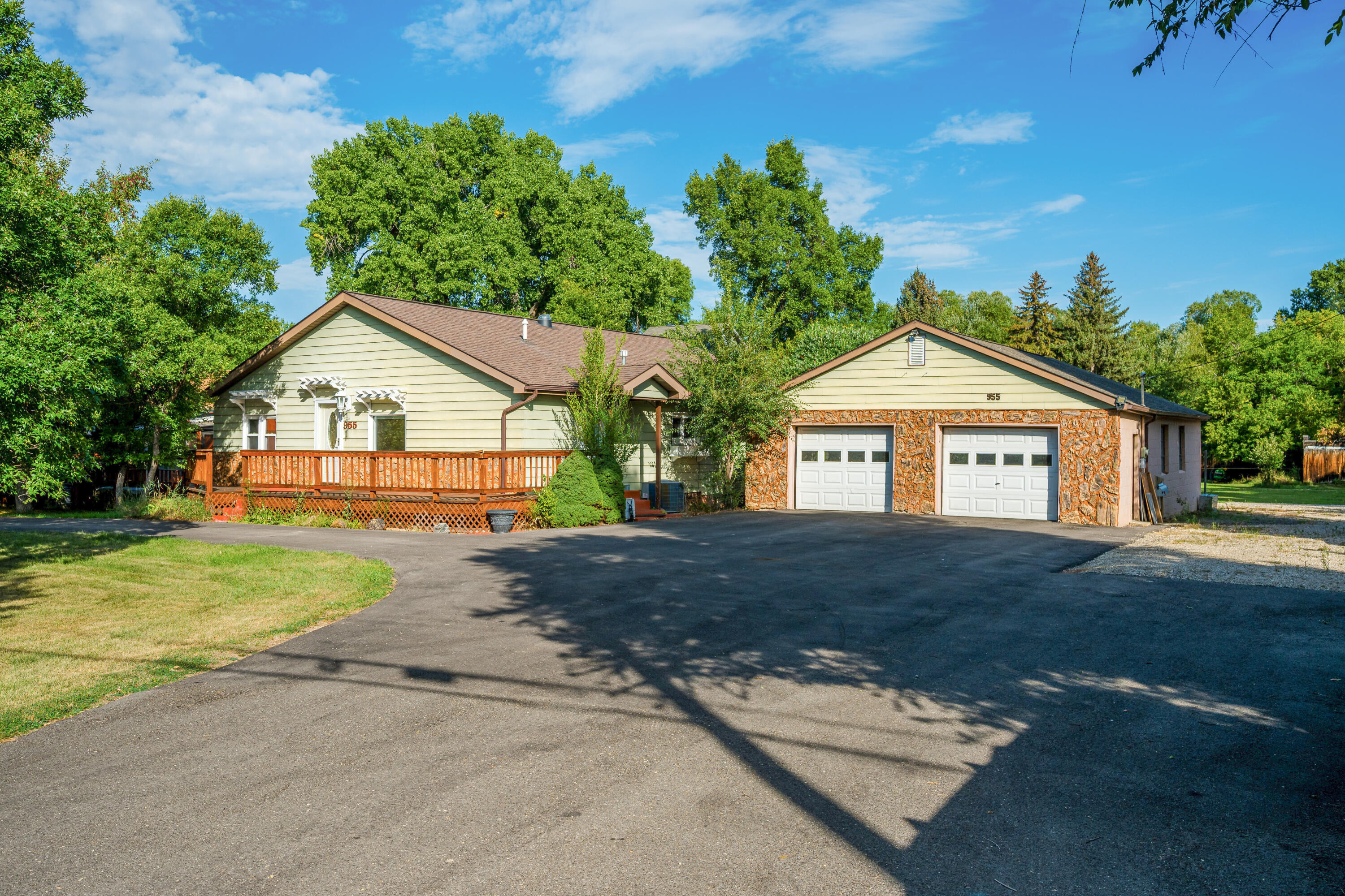 955 Leopard Street