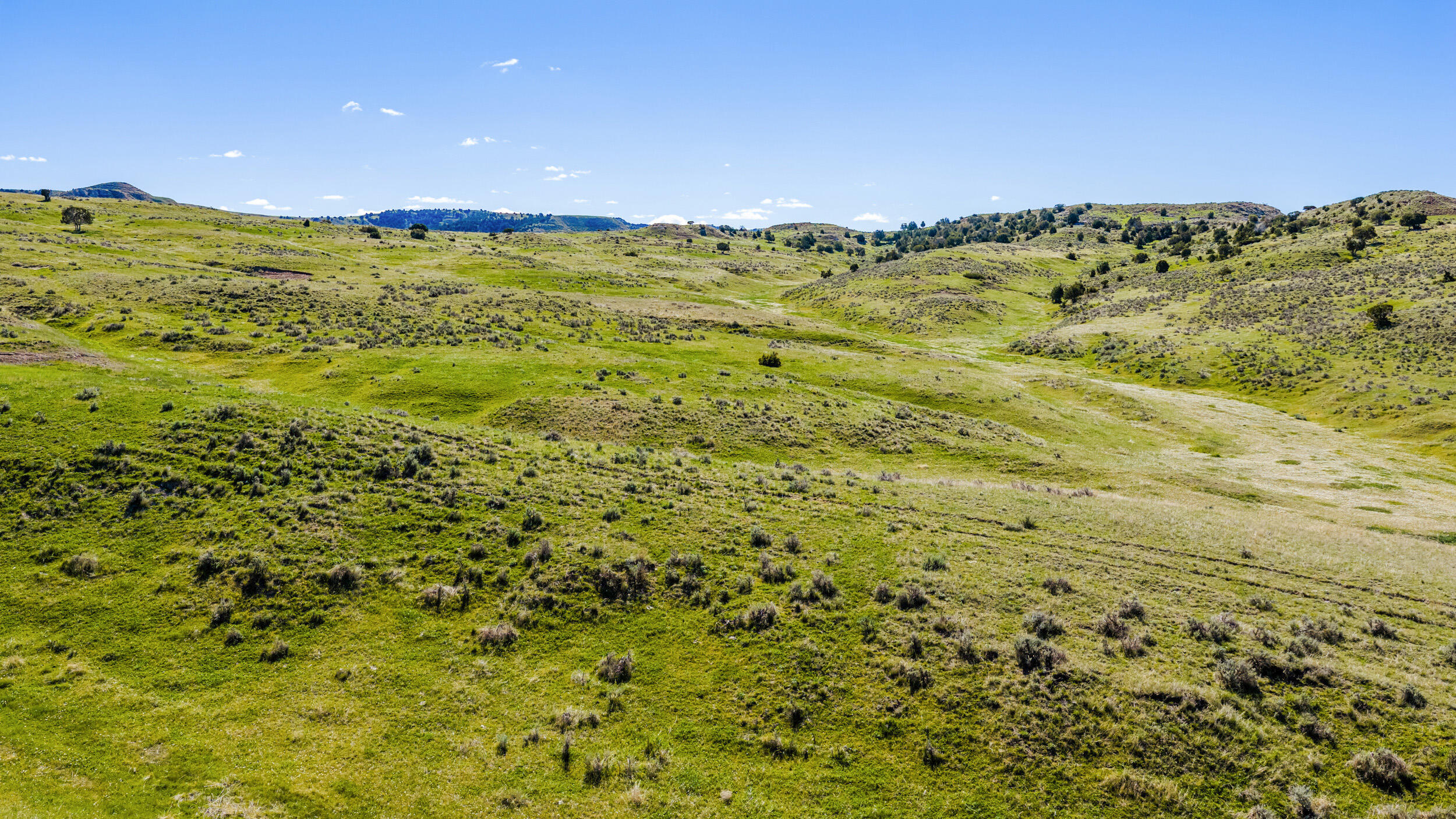 593 Lower Prairie Dog Road