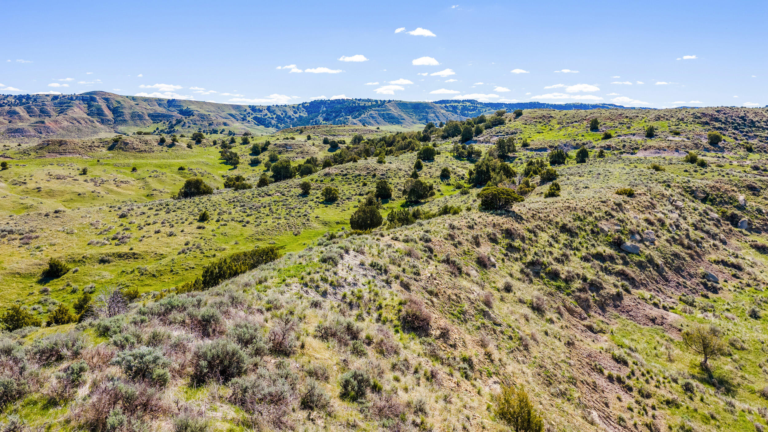 593 Lower Prairie Dog Road