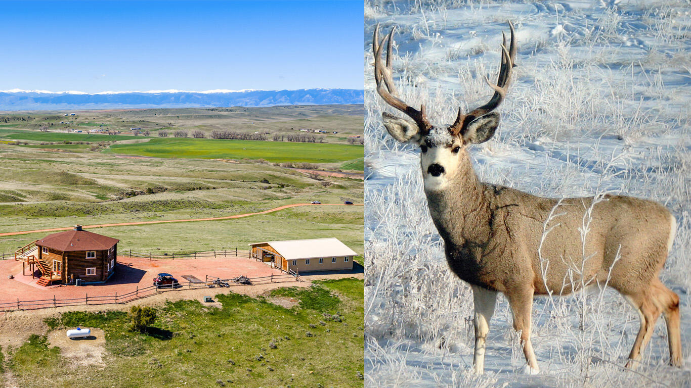 593 Lower Prairie Dog Road