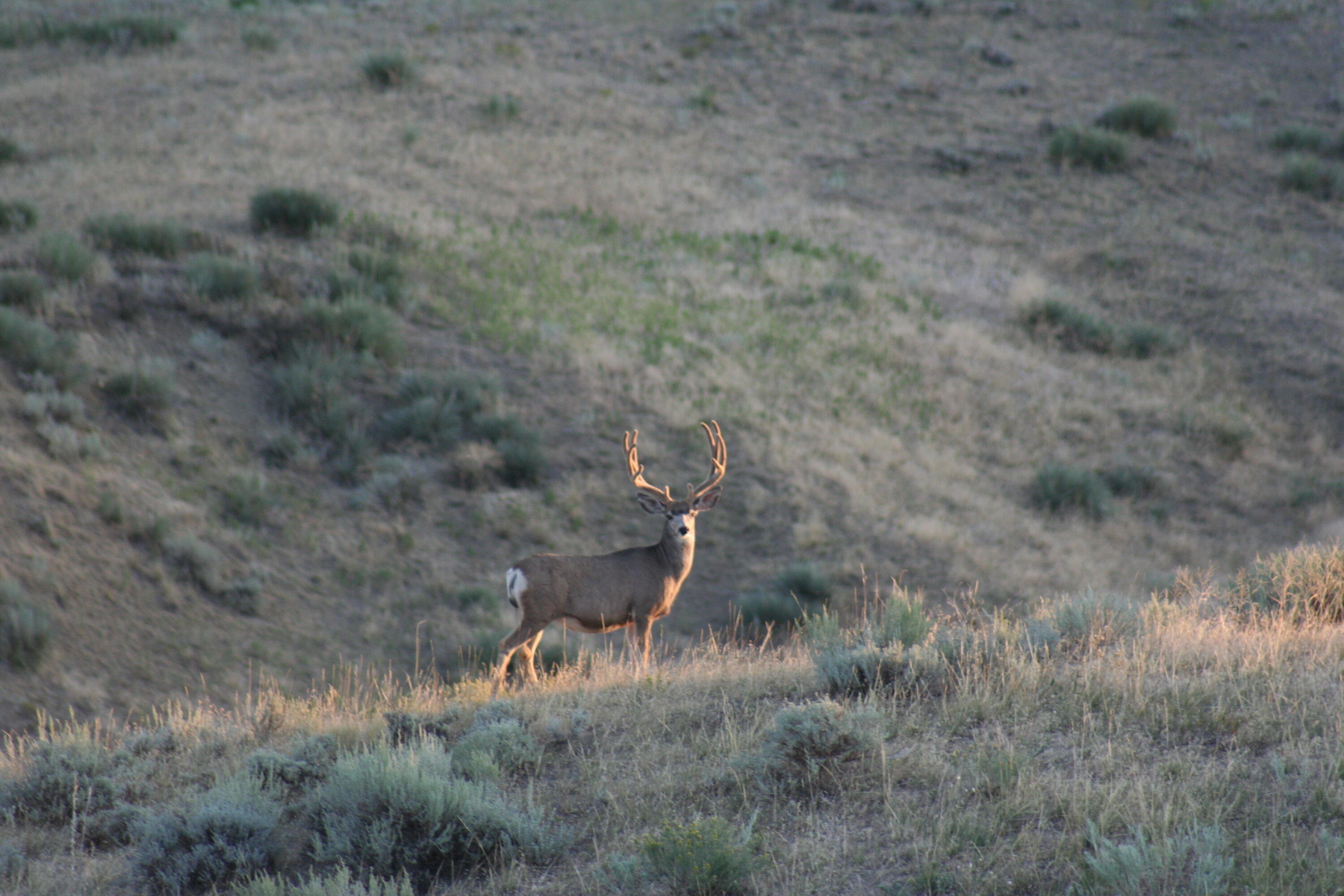 593 Lower Prairie Dog Road