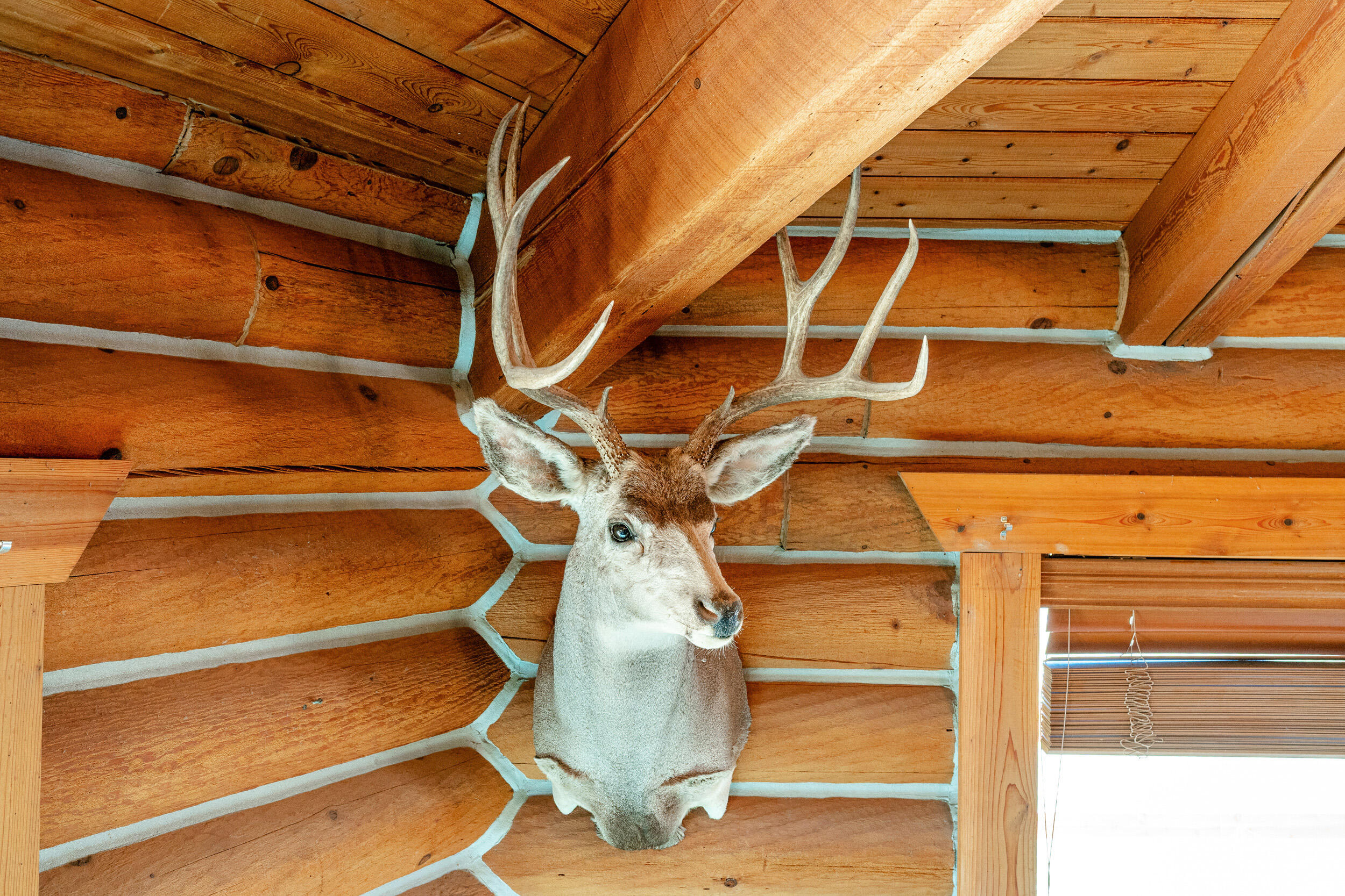 593 Lower Prairie Dog Road