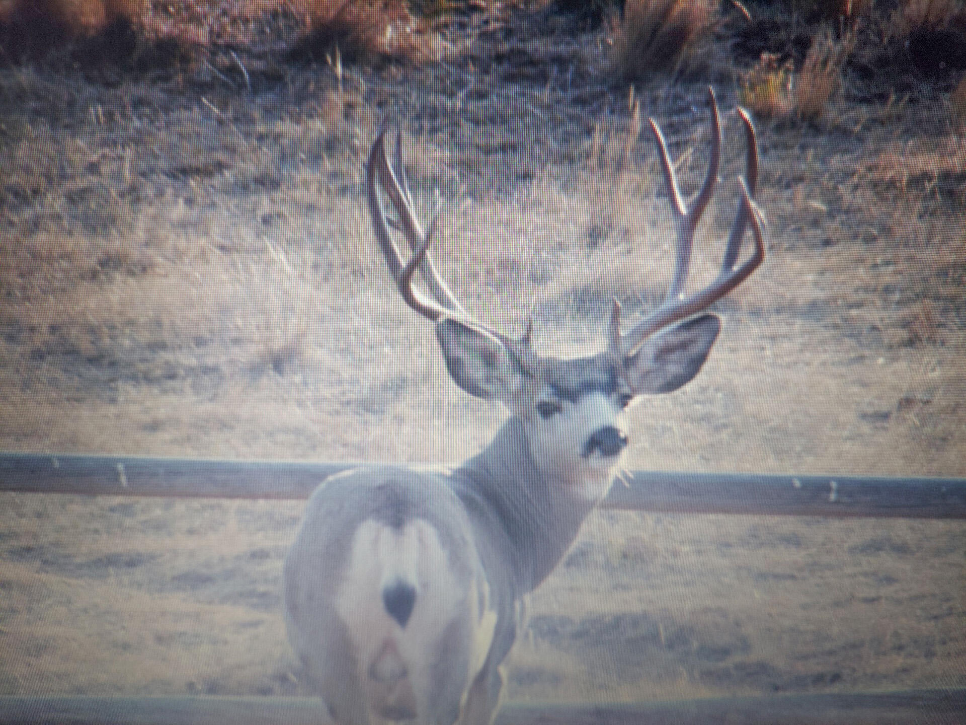 593 Lower Prairie Dog Road