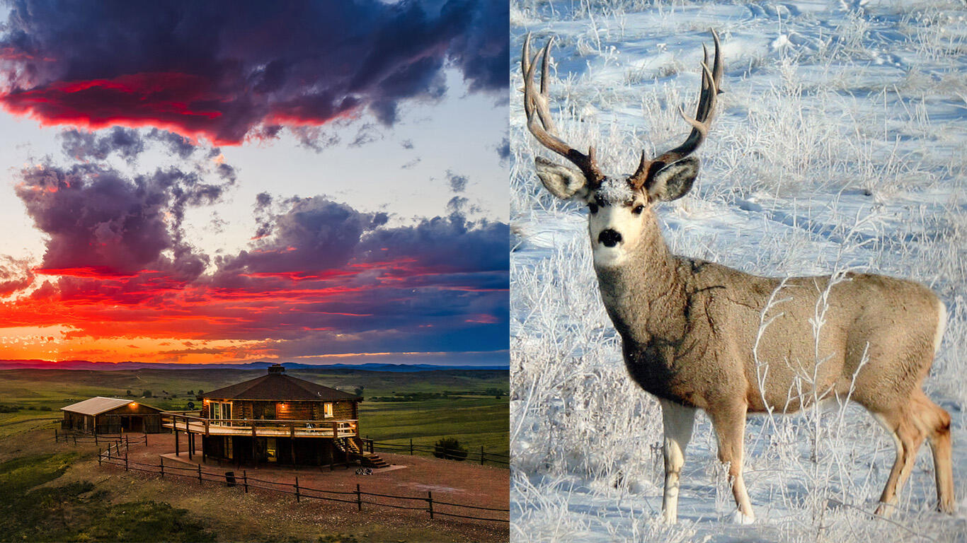 593 Lower Prairie Dog Road