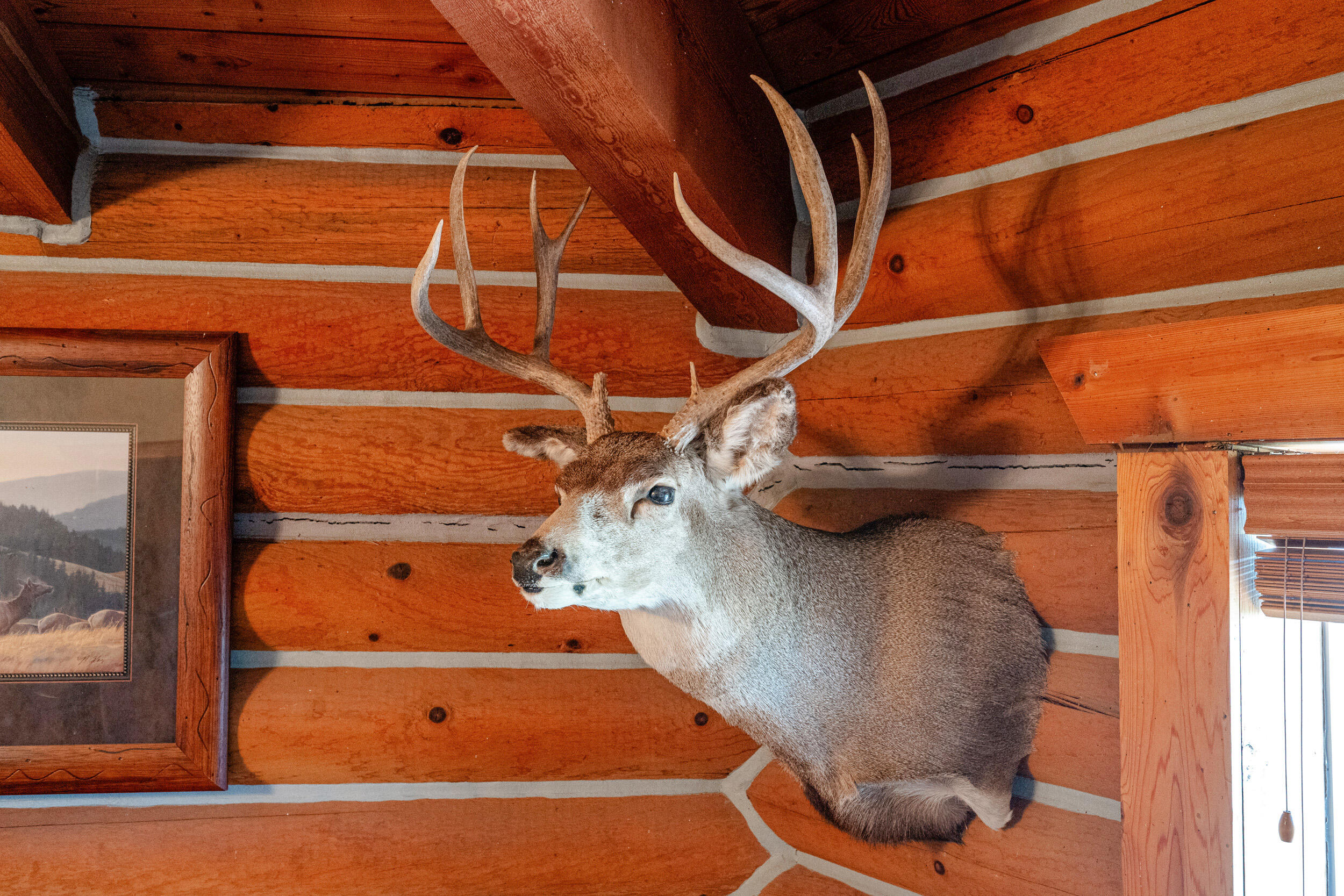 593 Lower Prairie Dog Road
