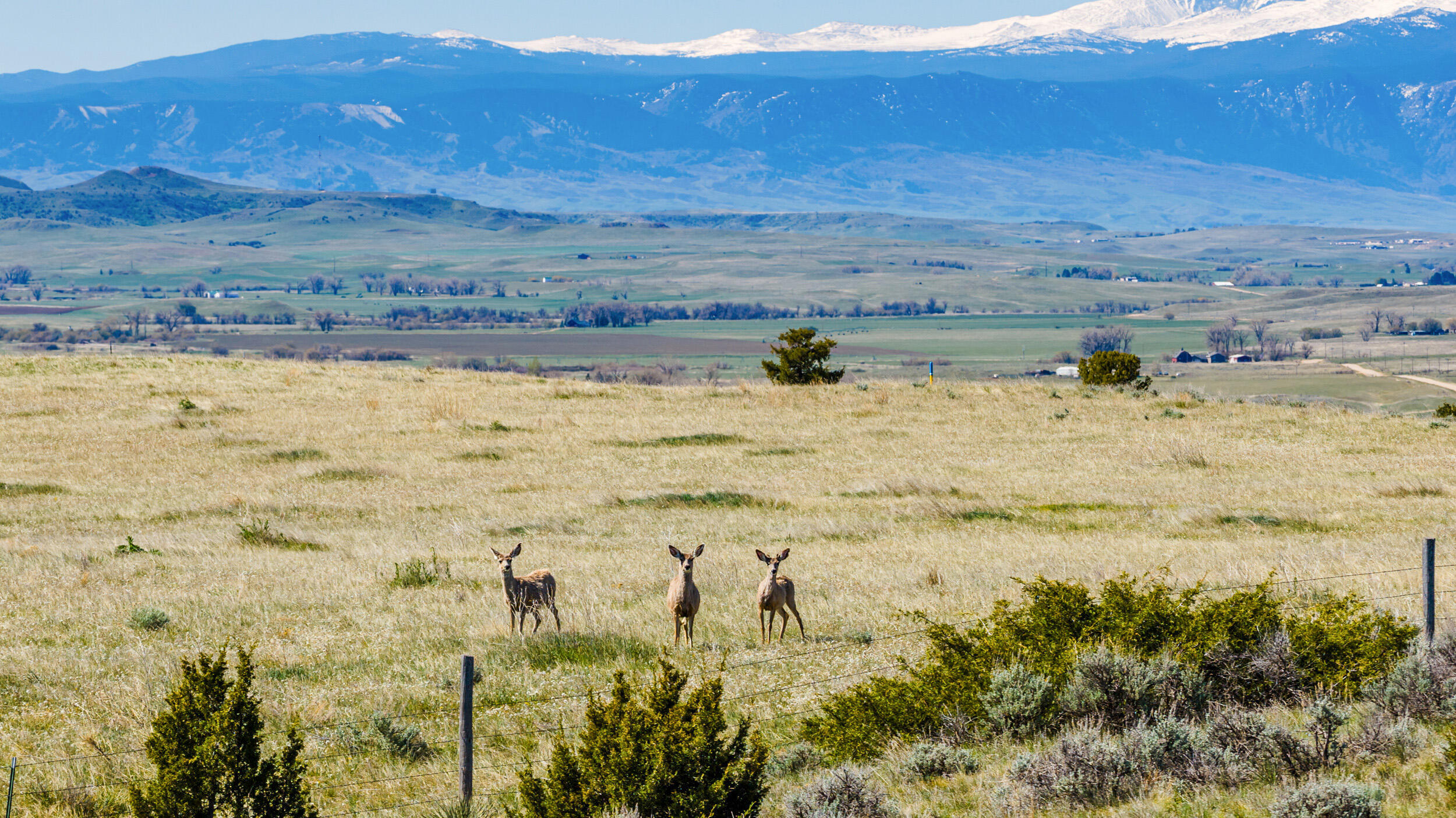 593 Lower Prairie Dog Road