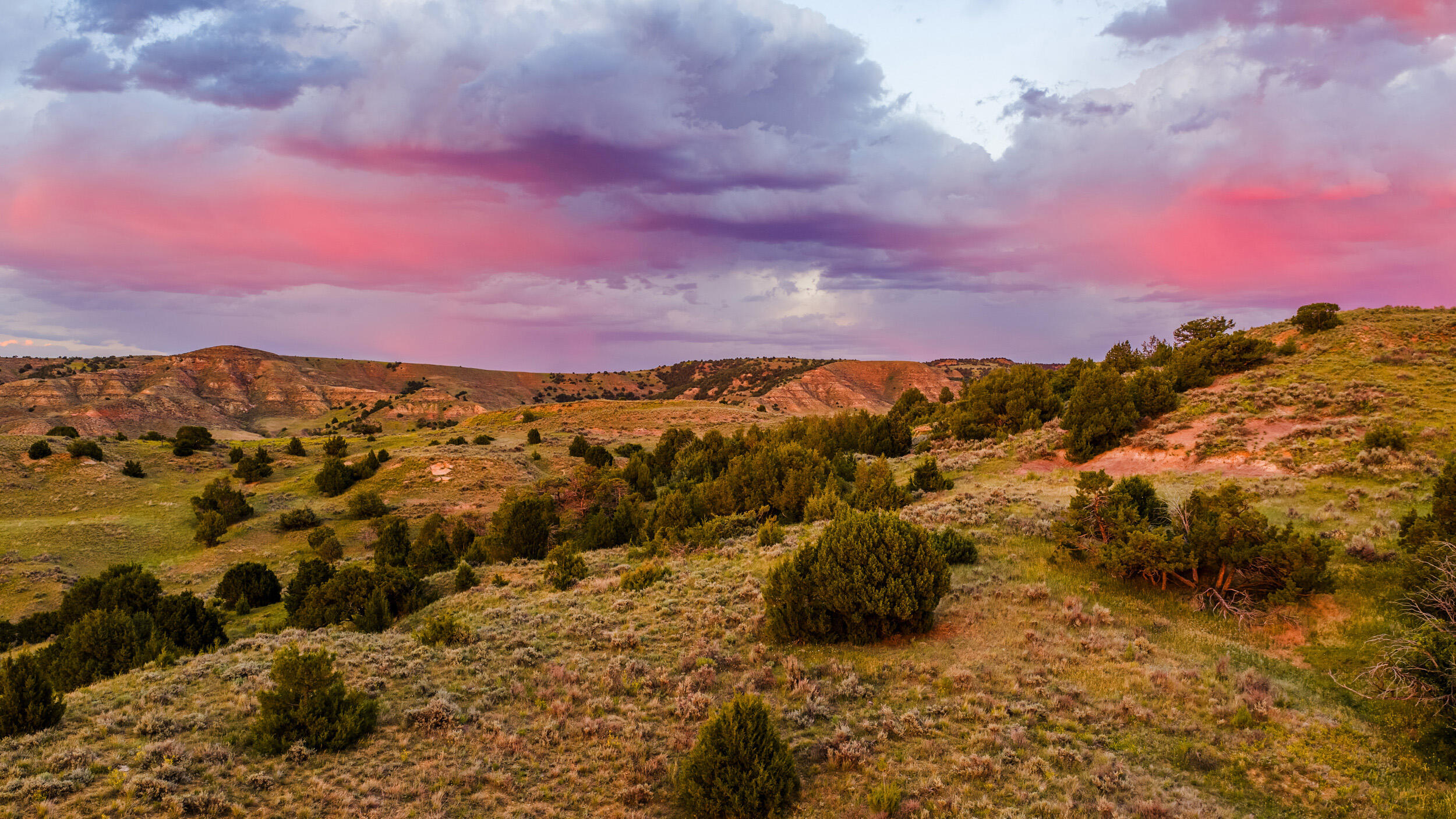 593 Lower Prairie Dog Road