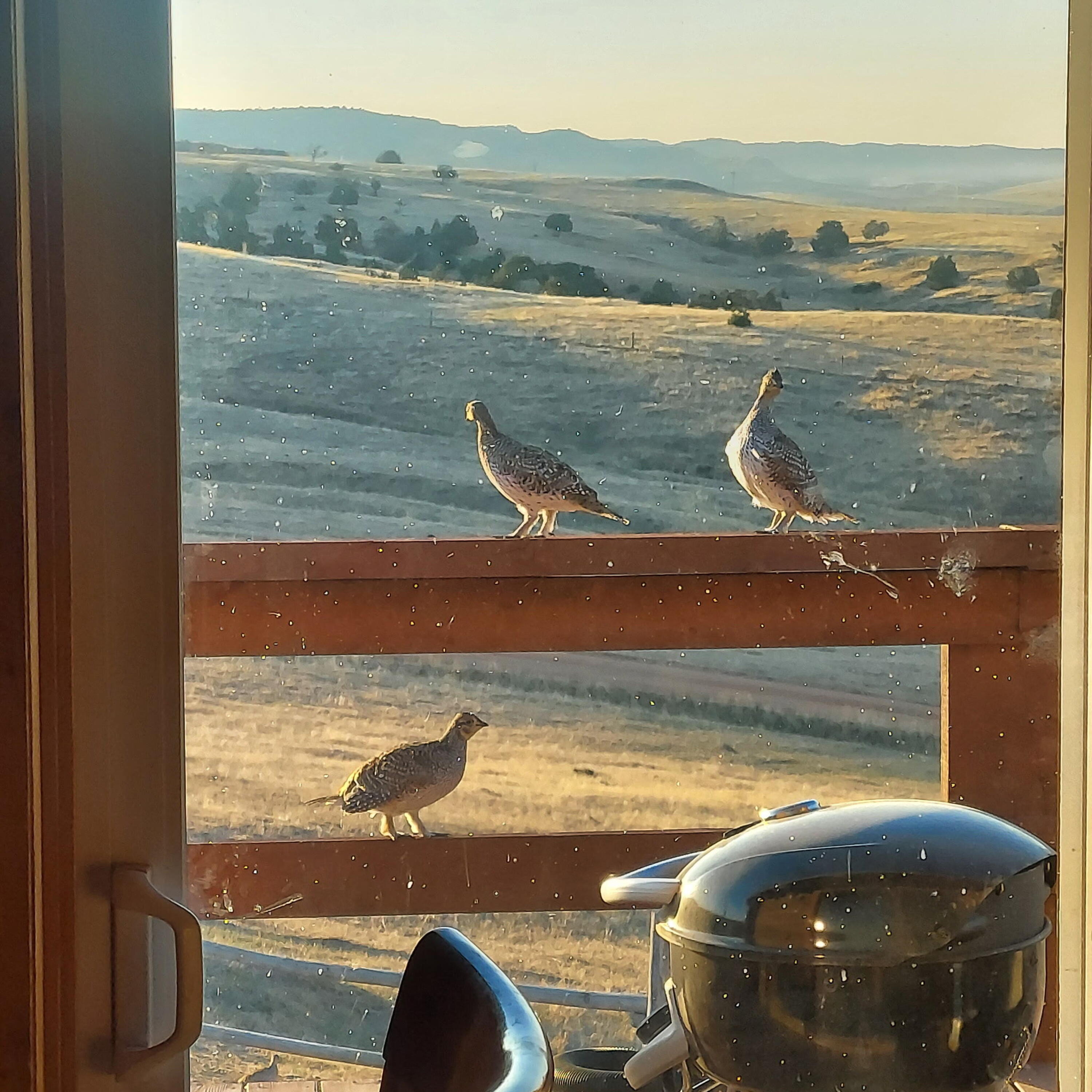 593 Lower Prairie Dog Road