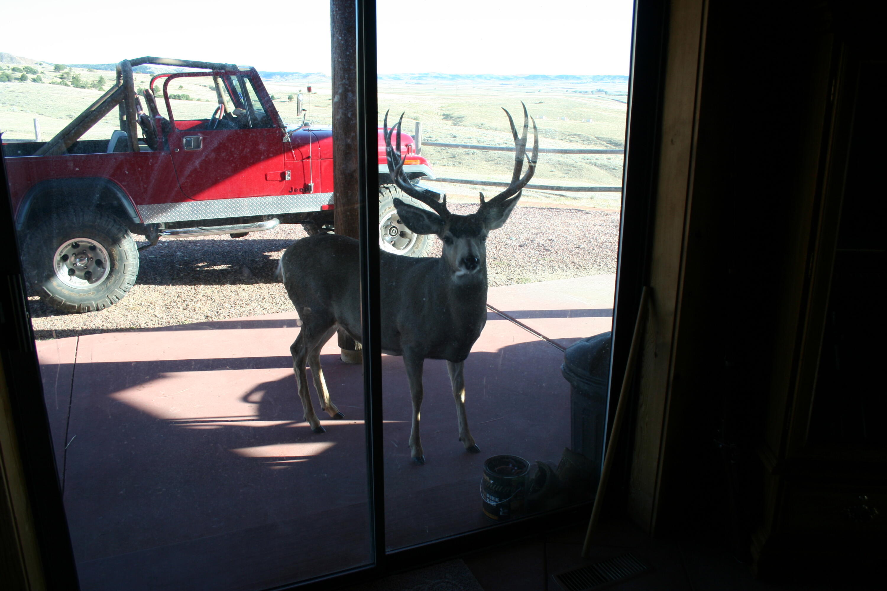 593 Lower Prairie Dog Road