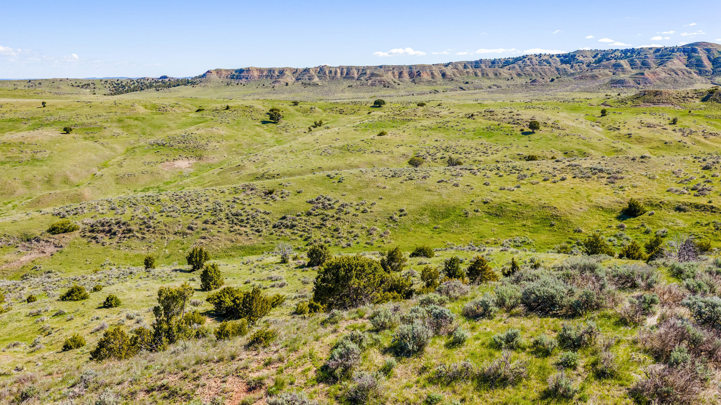 593 Lower Prairie Dog Road