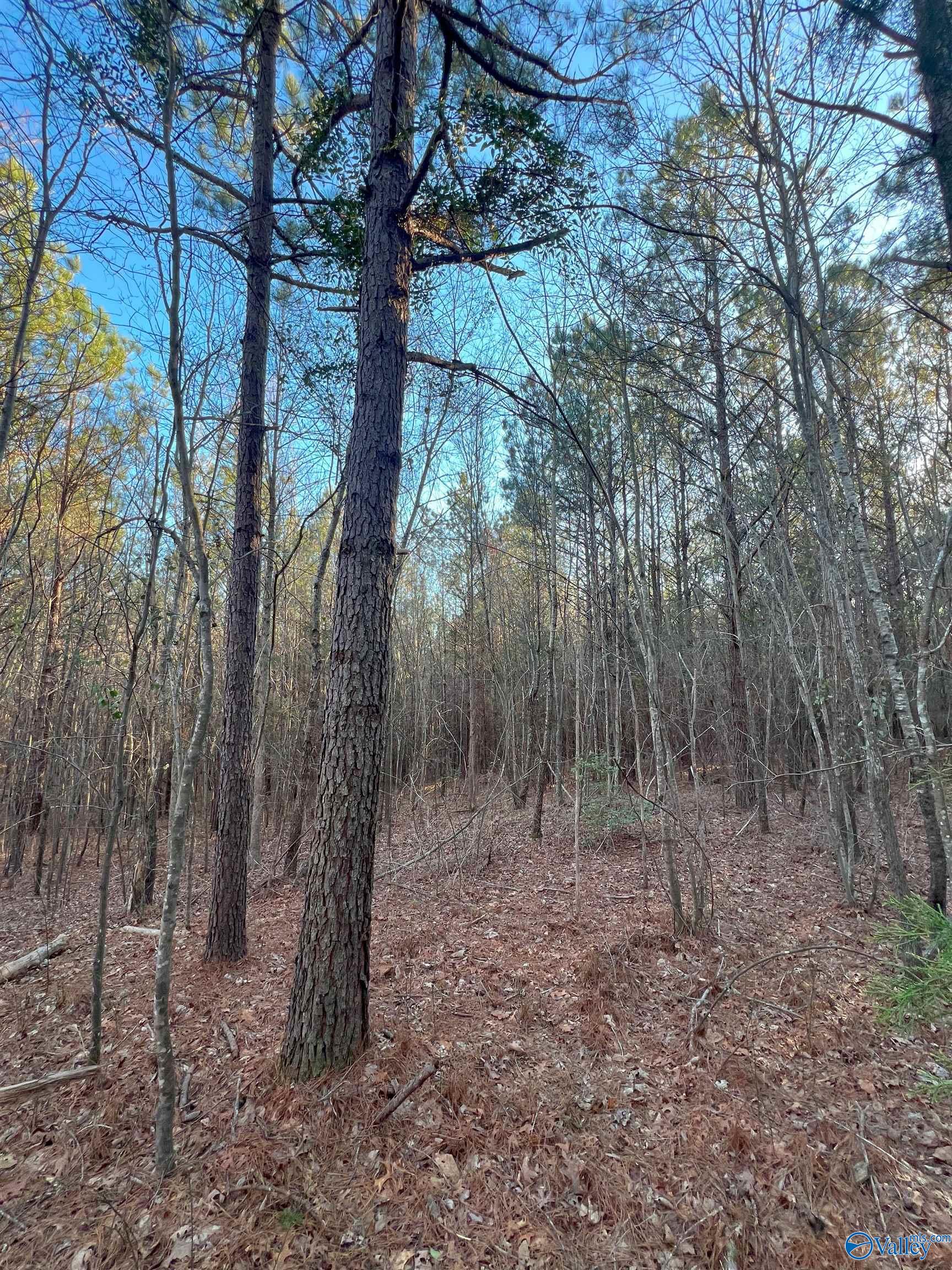 9 Acres Old Kelly Road