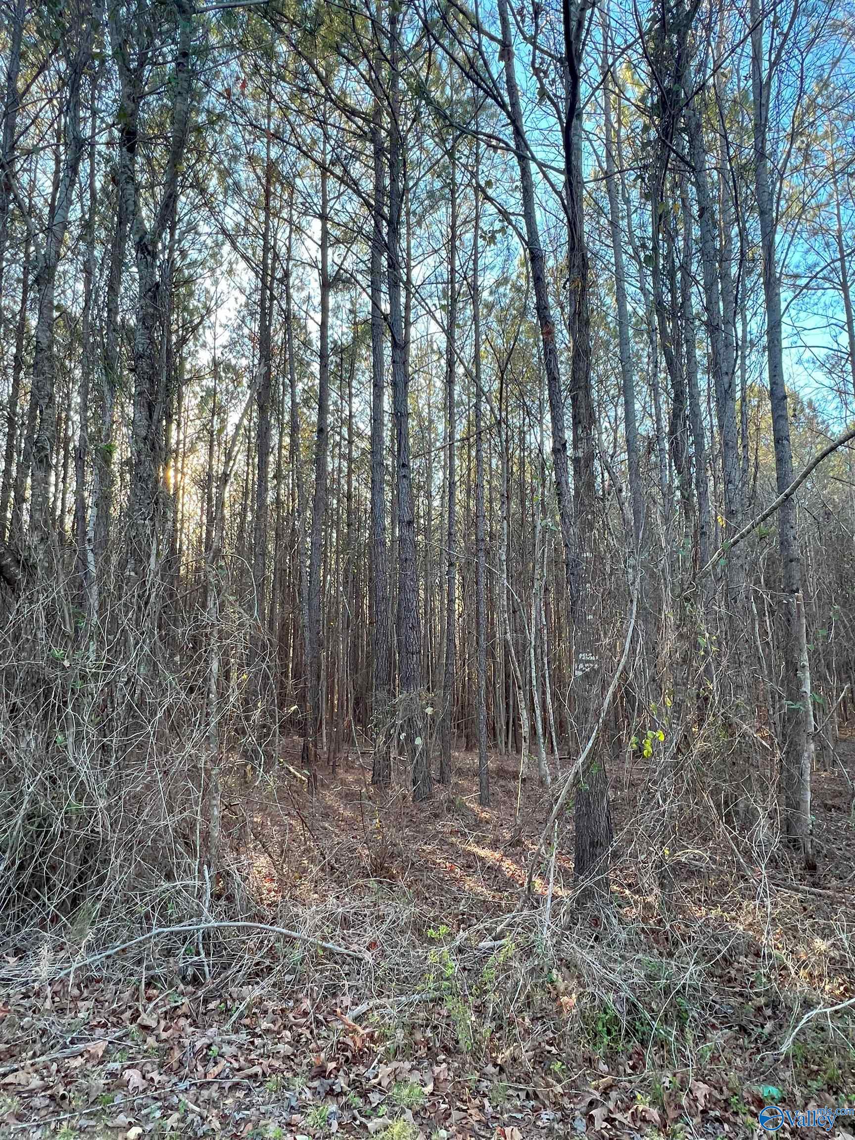 9 Acres Old Kelly Road