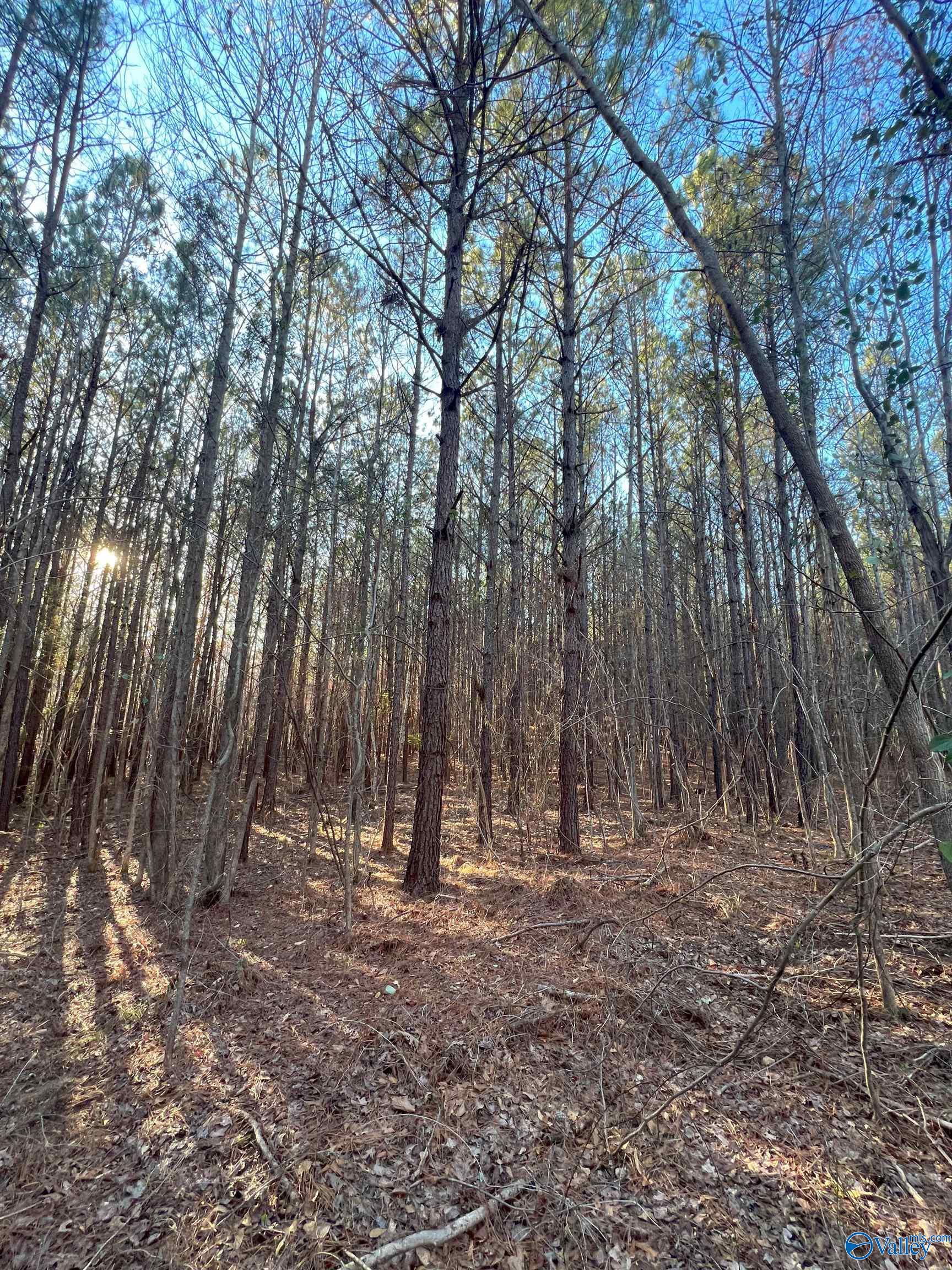 9 Acres Old Kelly Road