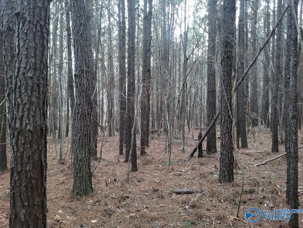 9 Acres Old Kelly Road