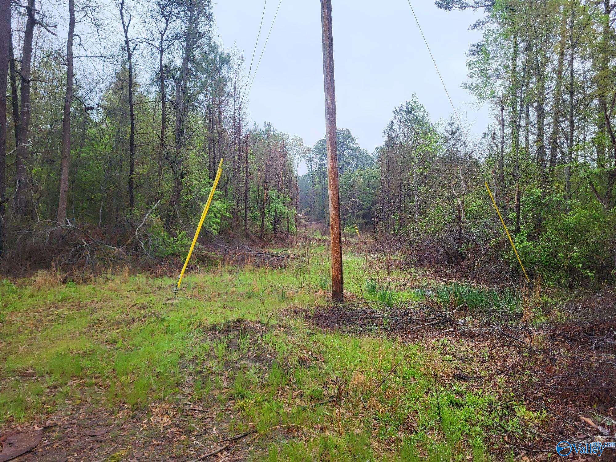 3.34 Acres County Road 30