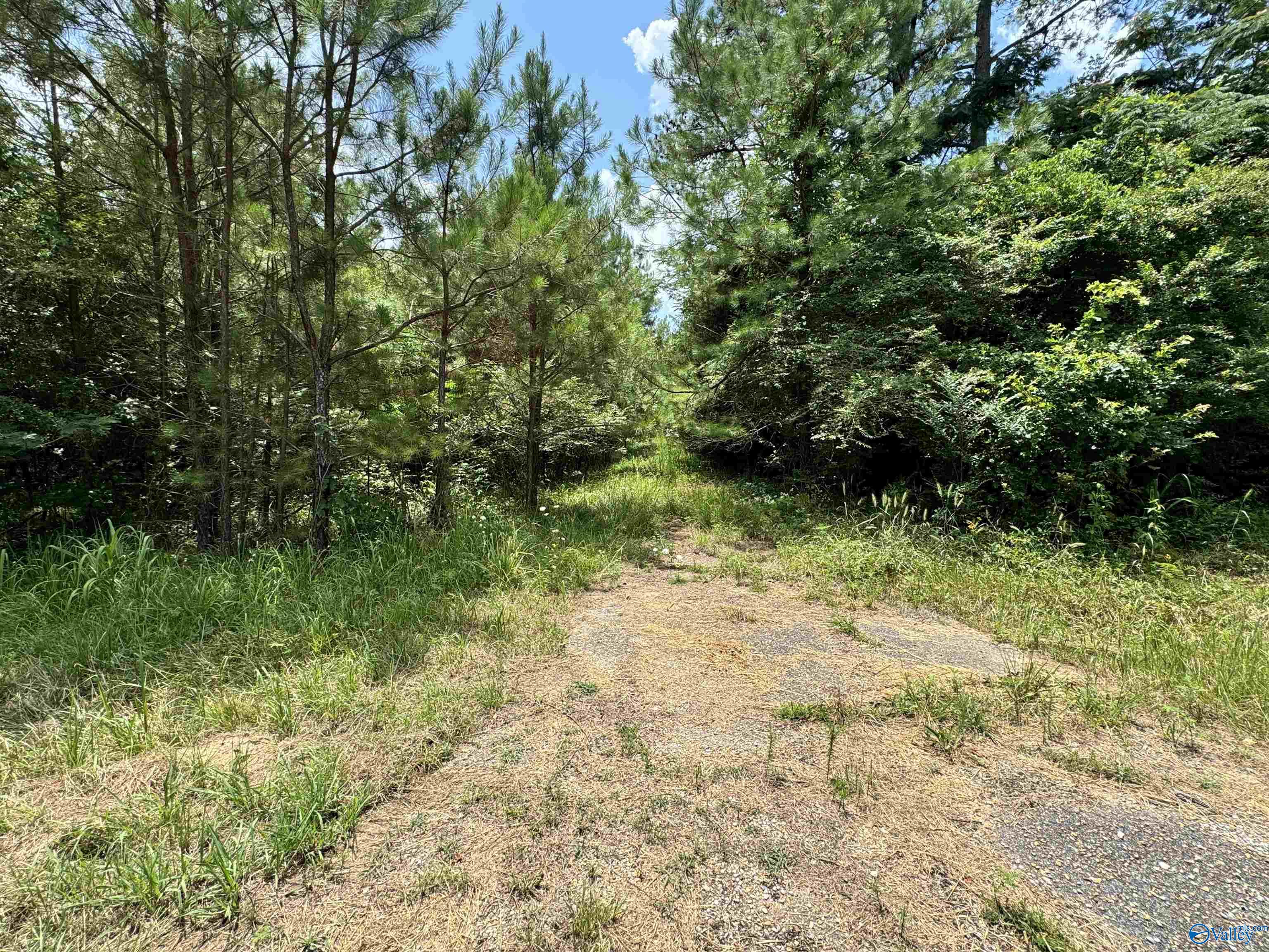 3.34 Acres County Road 30