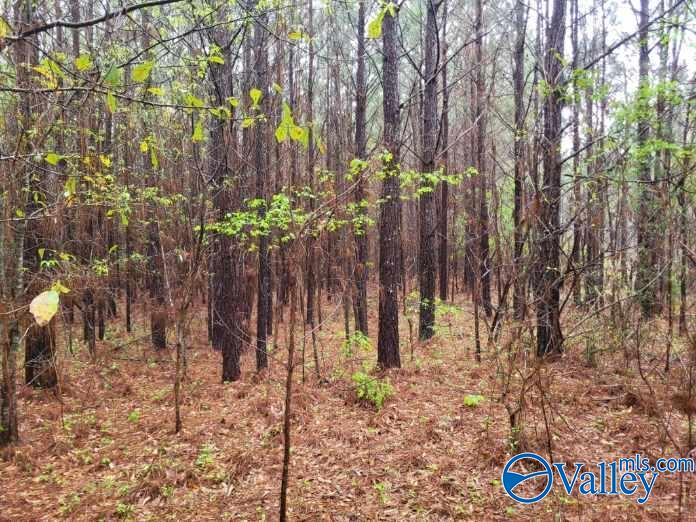 3.34 Acres County Road 30