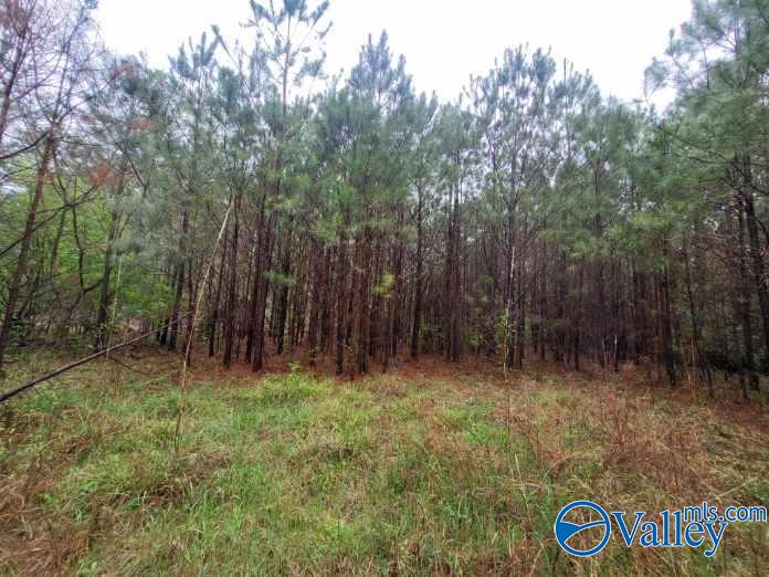 3.34 Acres County Road 30