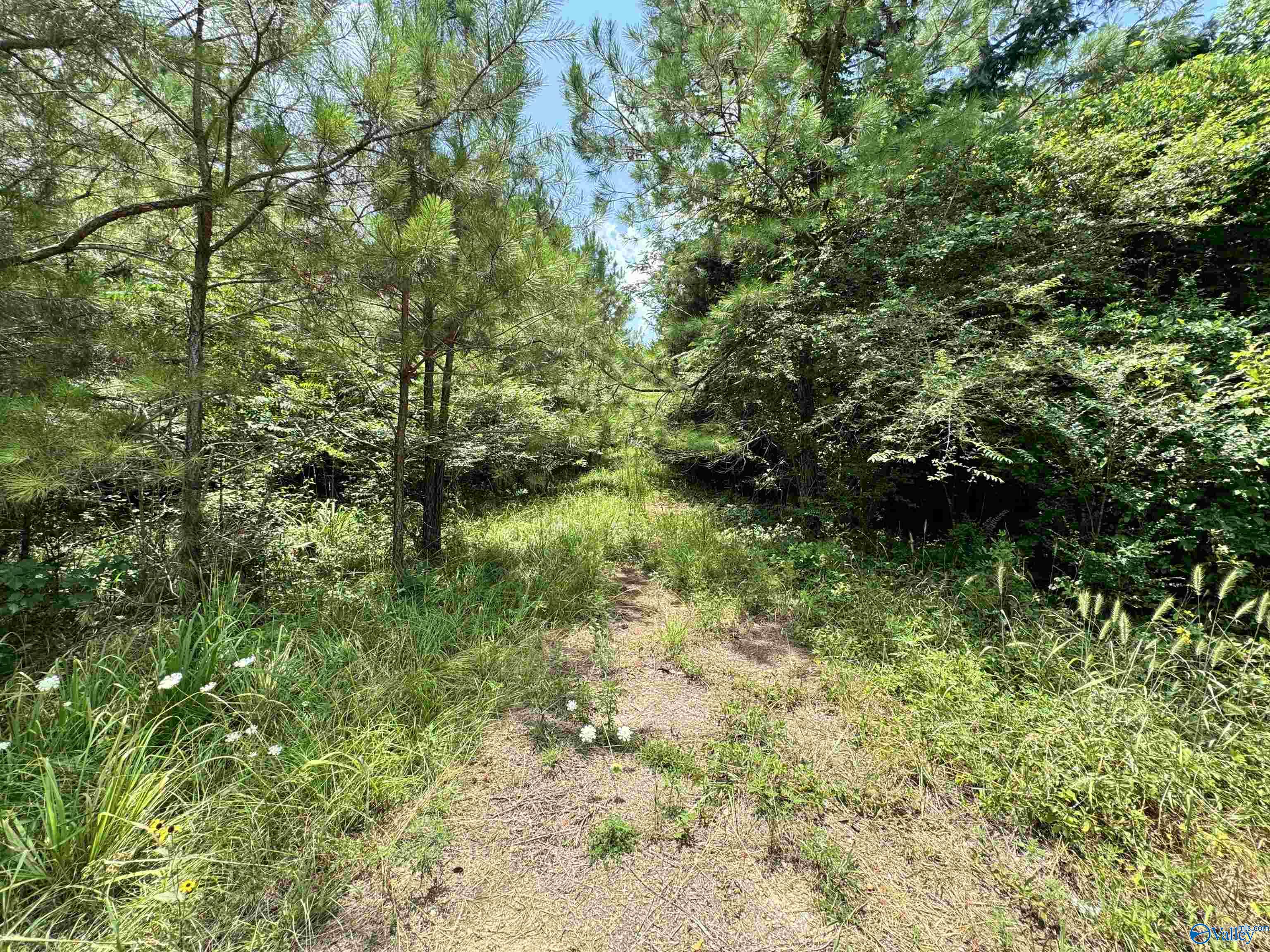 3.34 Acres County Road 30