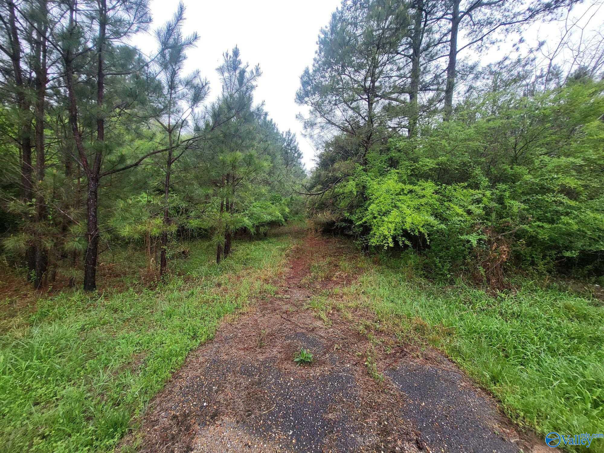 3.34 Acres County Road 30