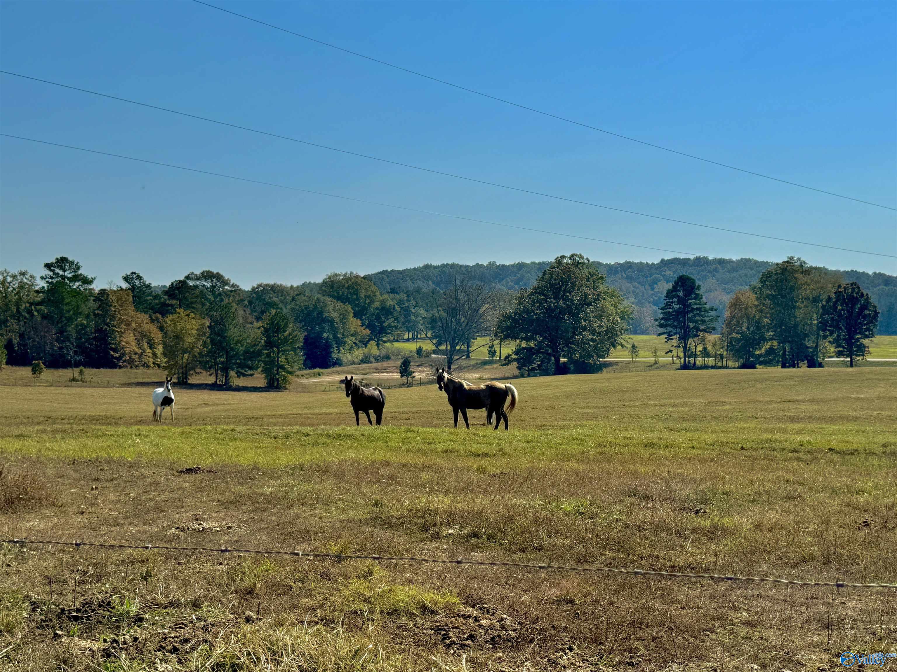5921 County Highway 20
