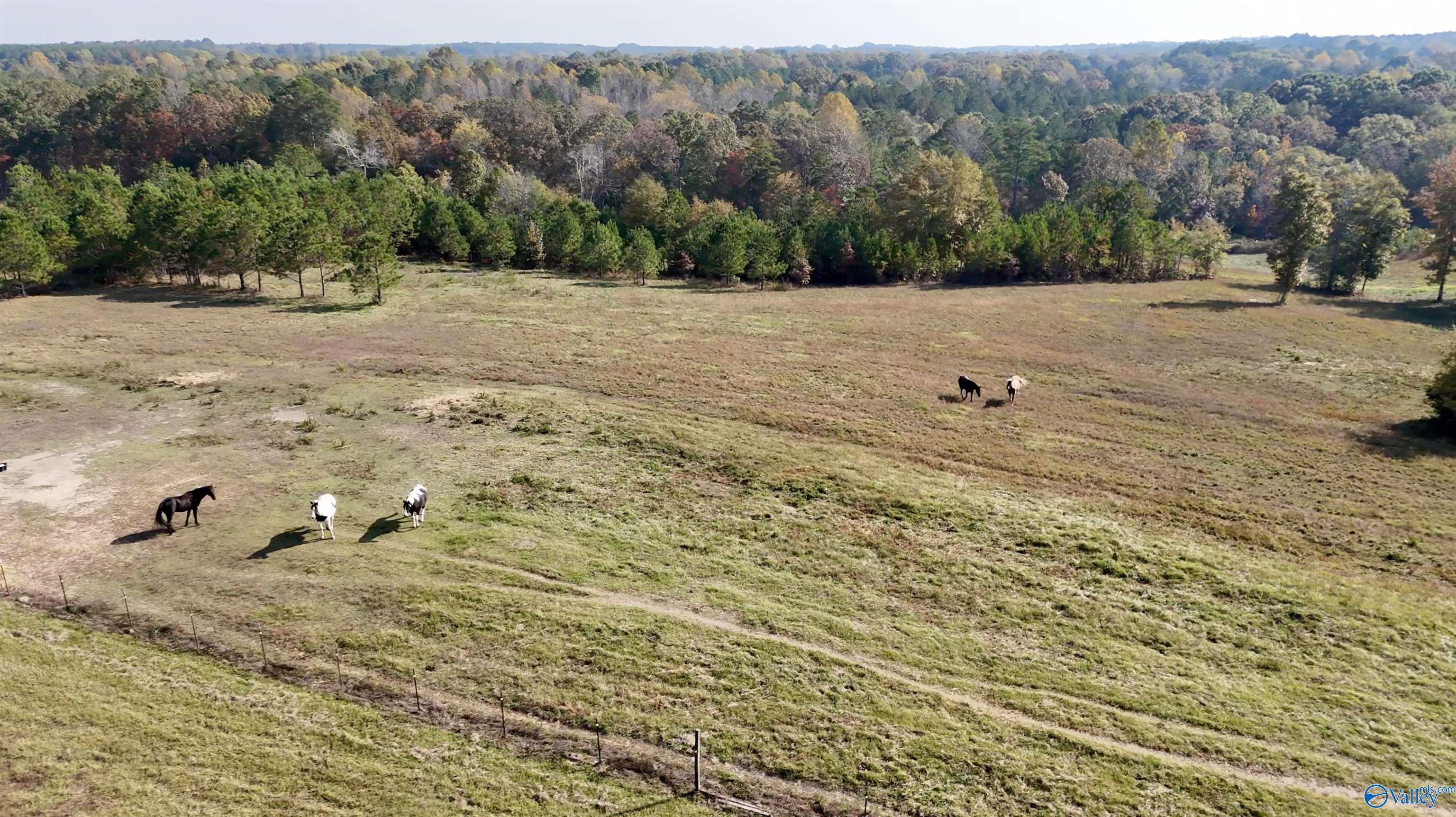 5921 County Highway 20