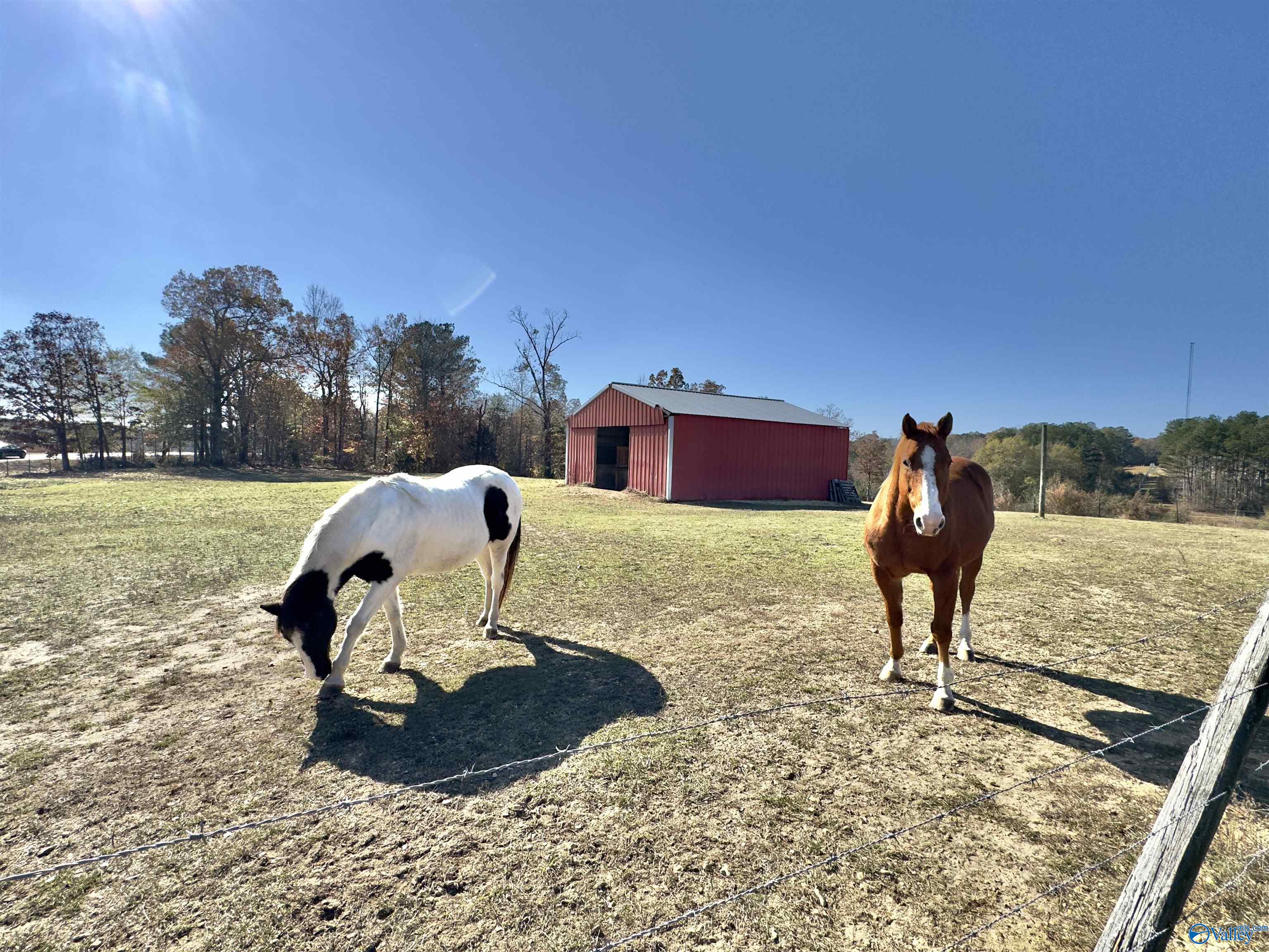 16275 State Highway 19