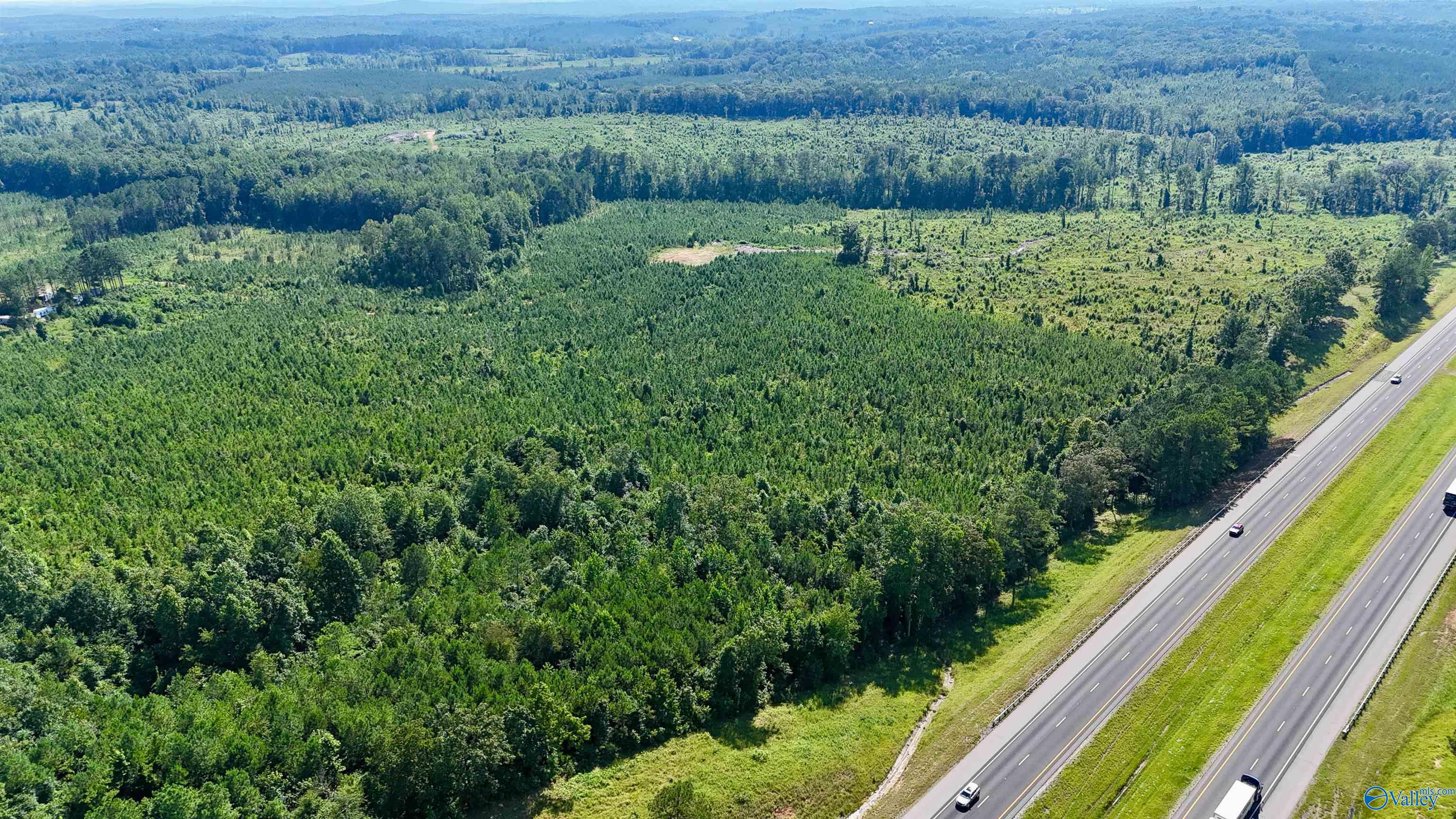 220 Acres on Reese Road