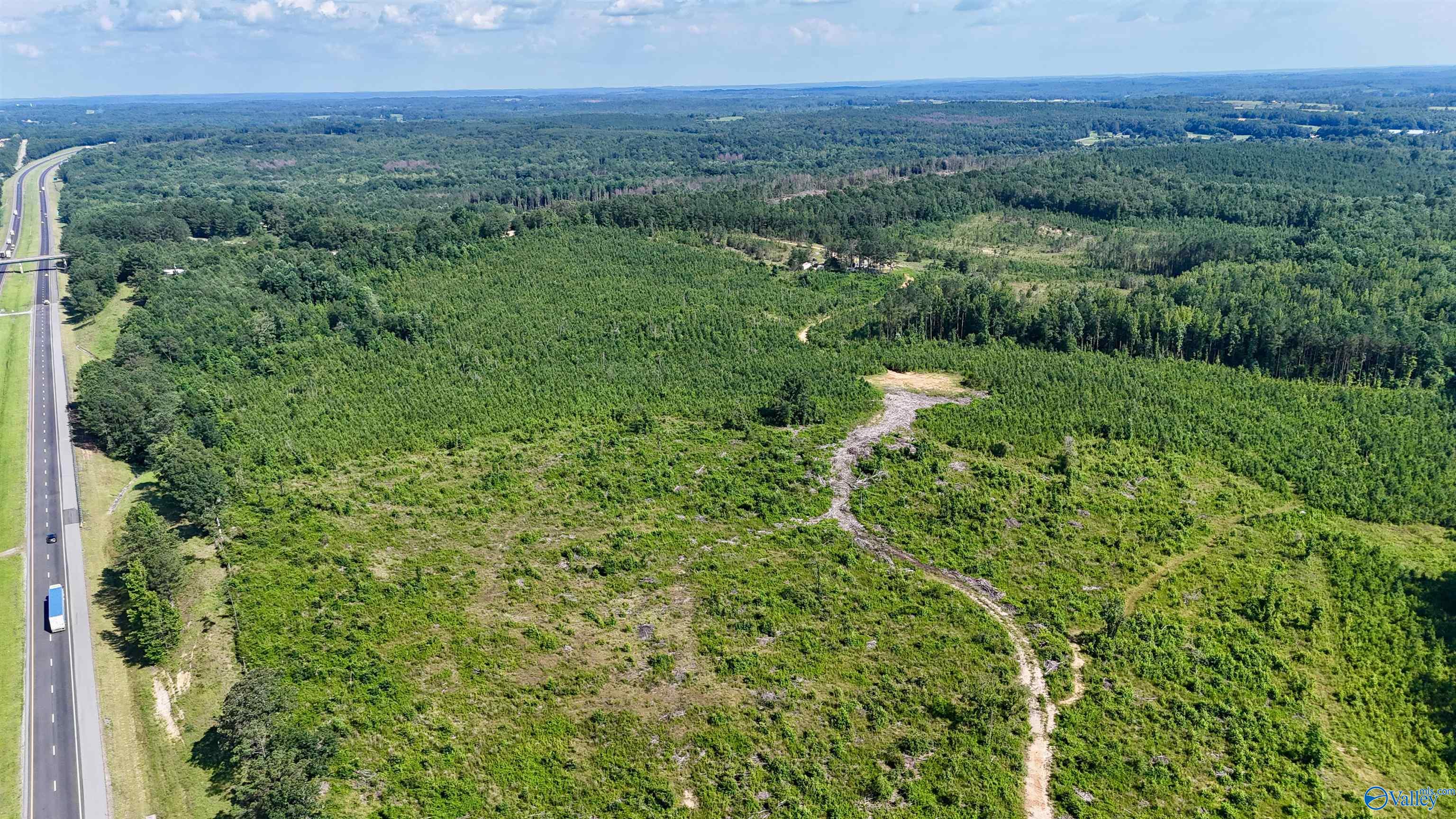 220 Acres on Reese Road