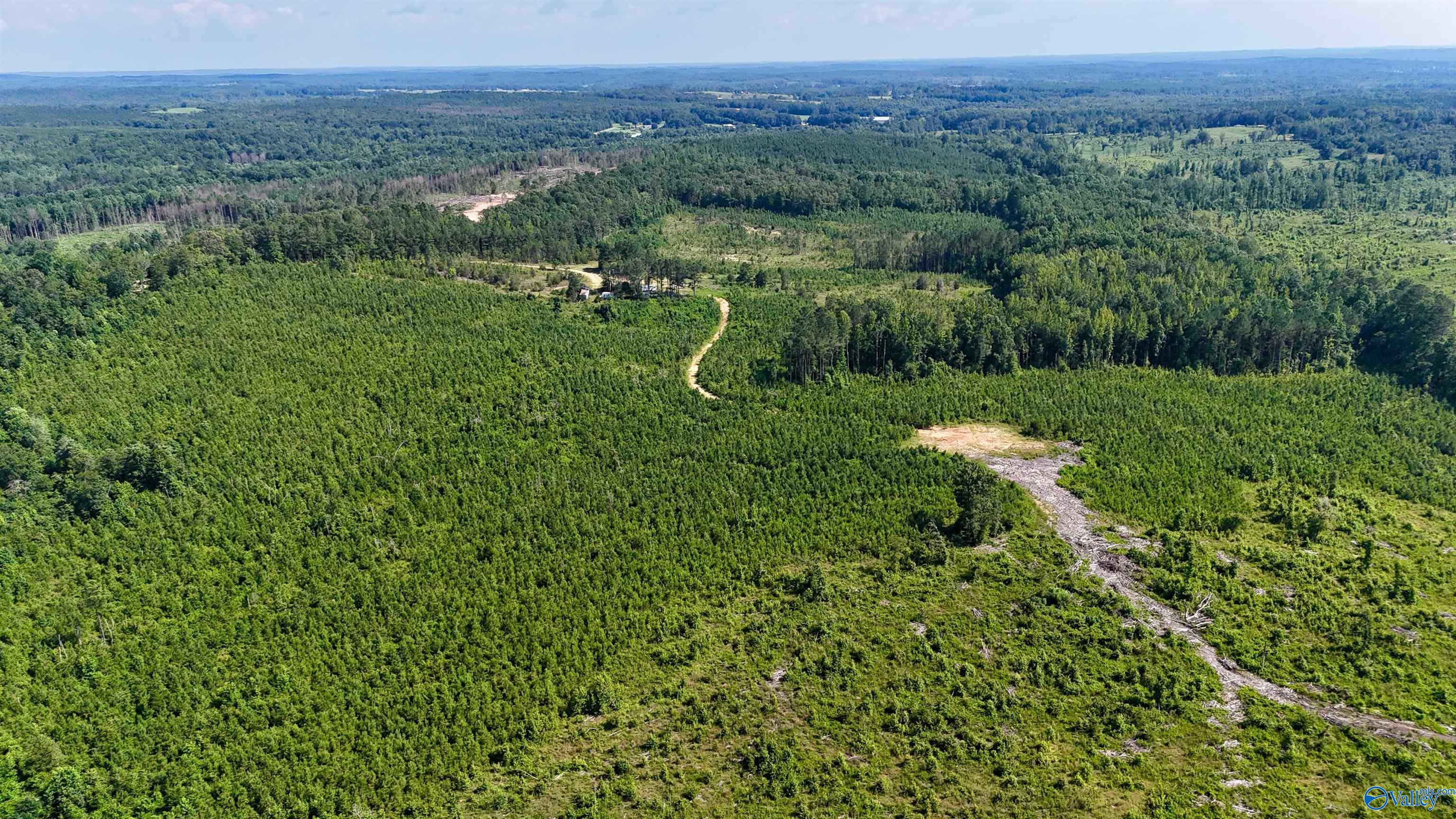 220 Acres on Reese Road