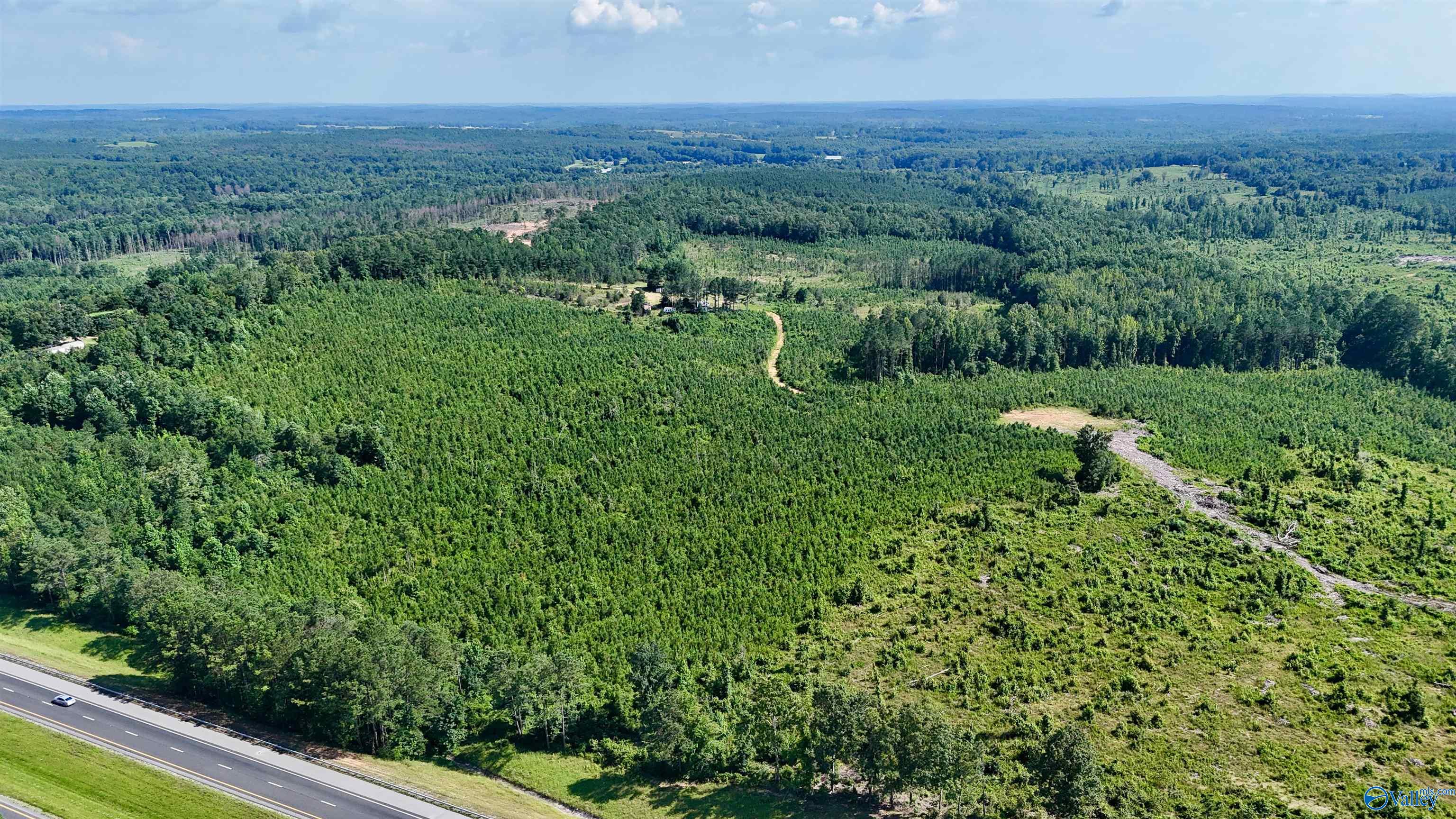 220 Acres on Reese Road