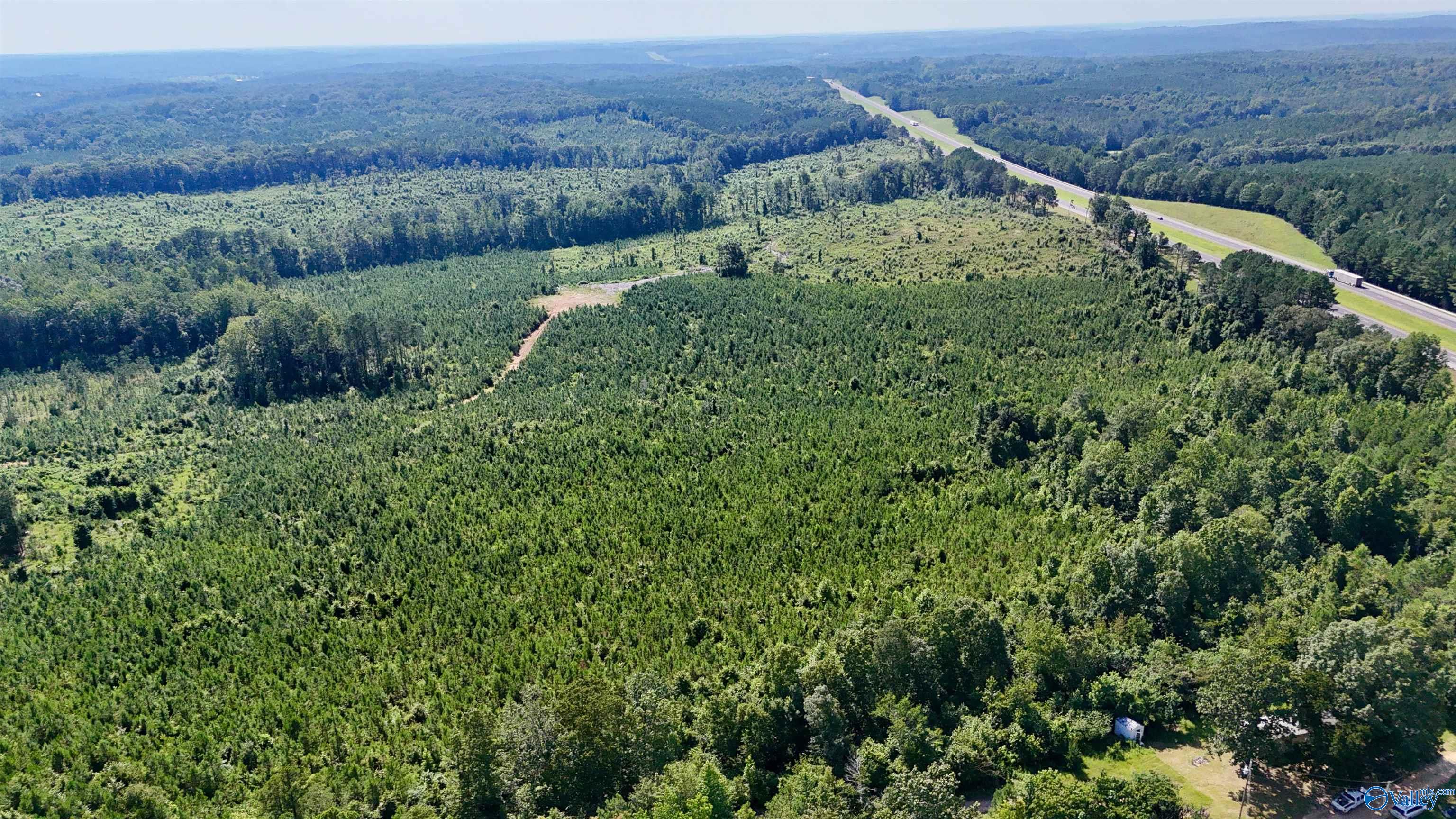 220 Acres on Reese Road
