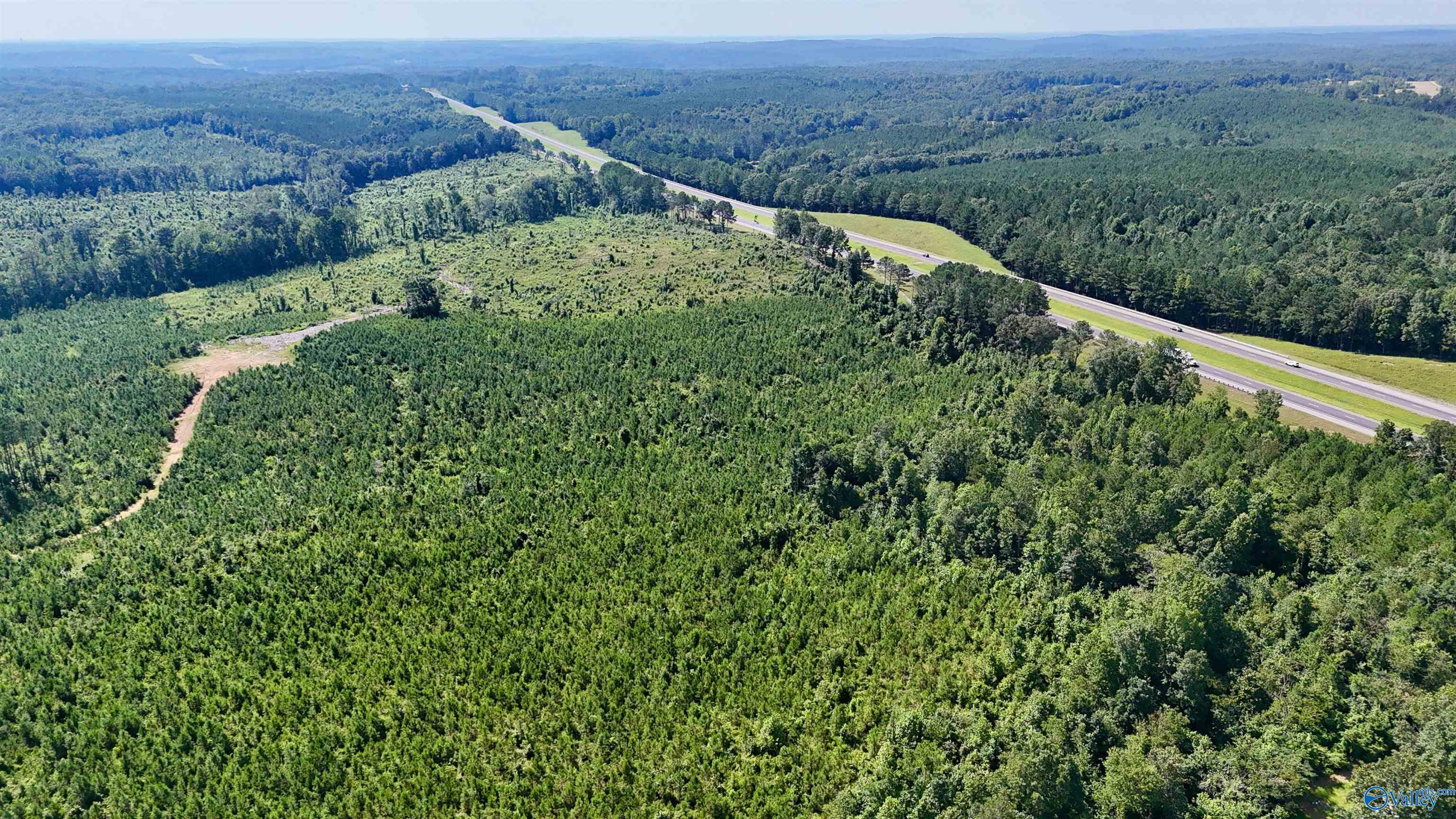 220 Acres on Reese Road