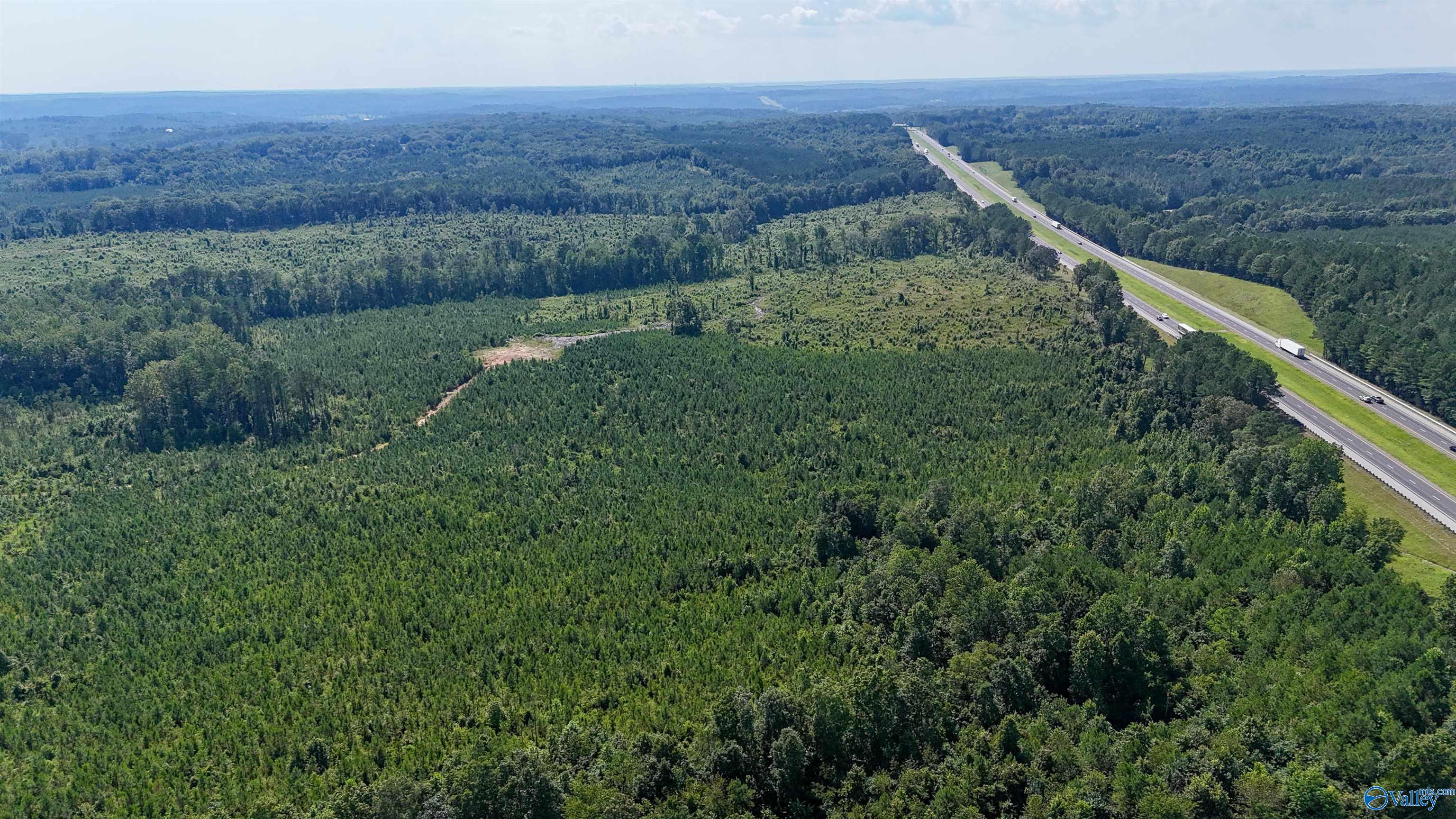220 Acres on Reese Road