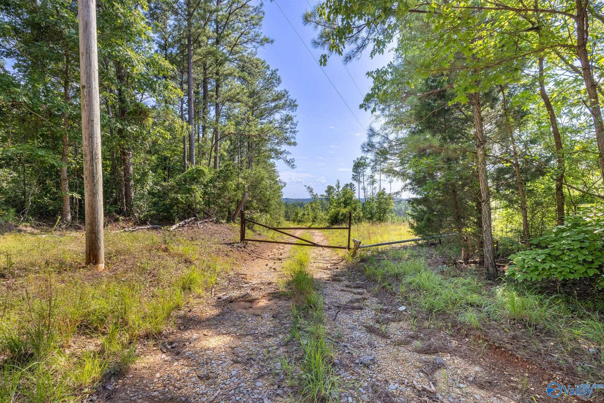 220 Acres on Reese Road