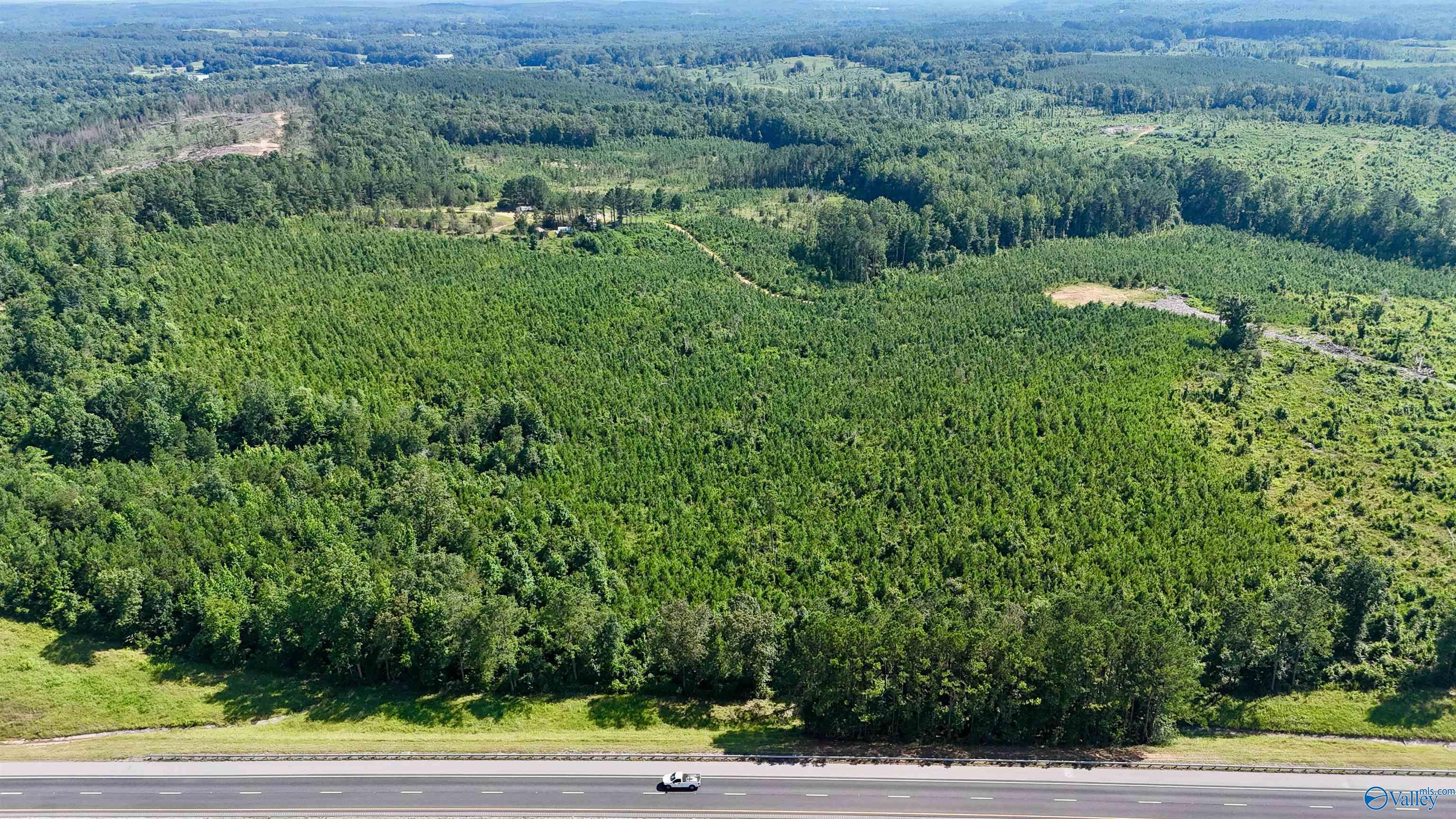 220 Acres on Reese Road