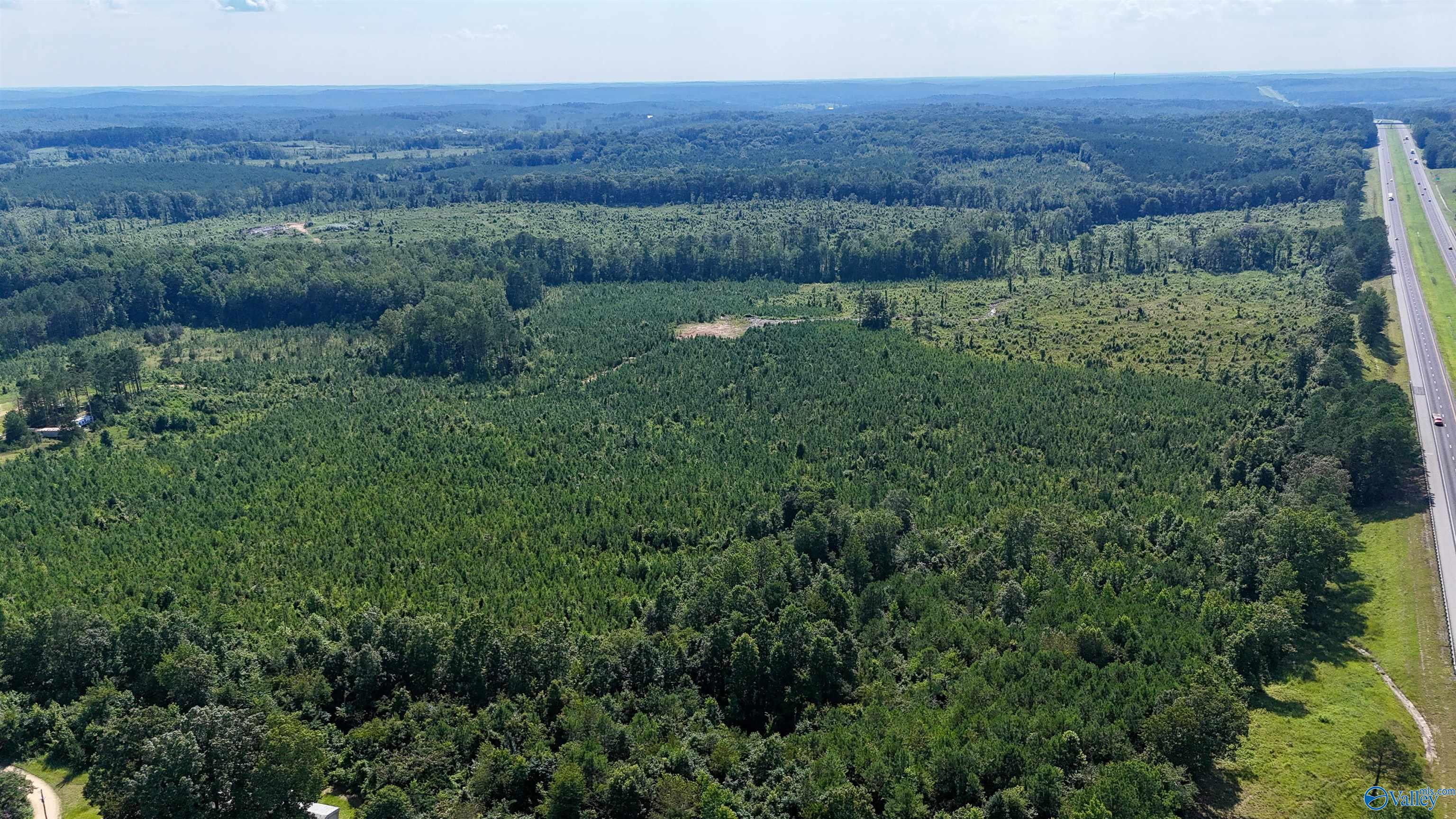 220 Acres on Reese Road