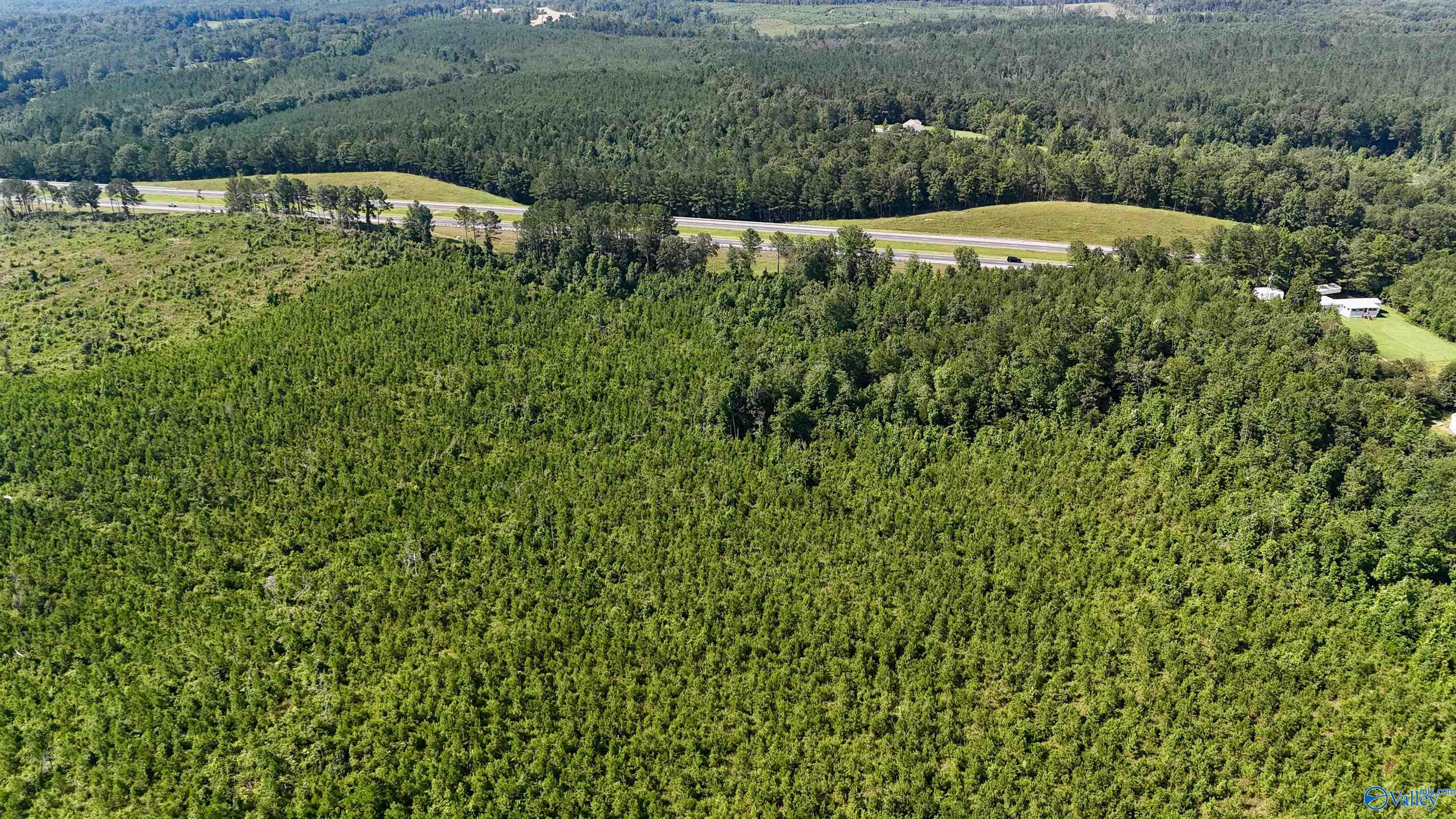 220 Acres on Reese Road